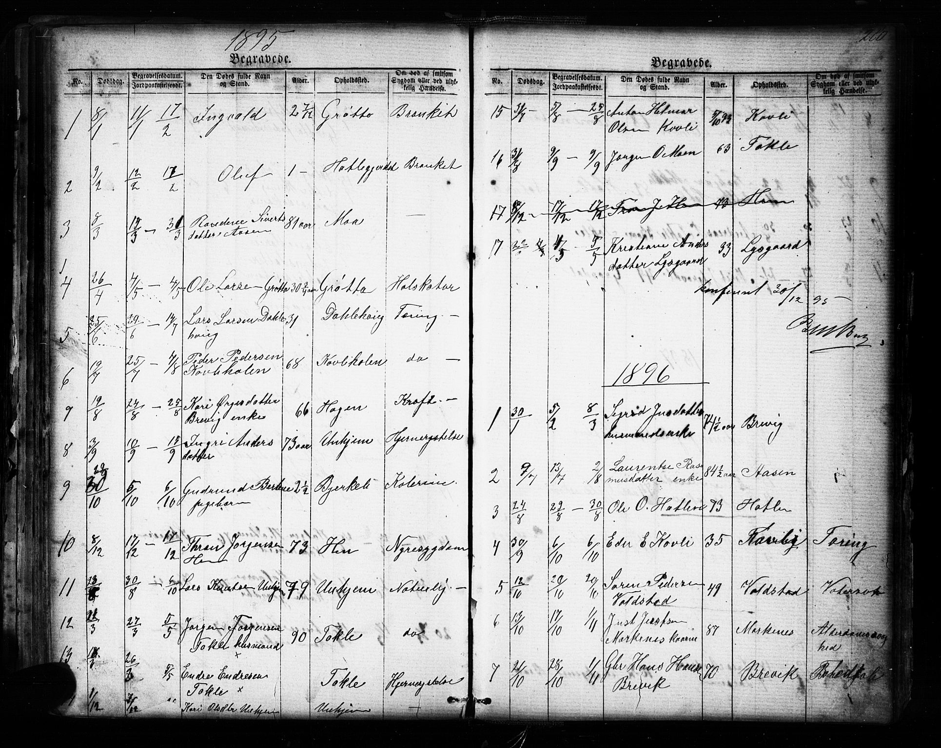 Ministerialprotokoller, klokkerbøker og fødselsregistre - Møre og Romsdal, SAT/A-1454/545/L0588: Parish register (copy) no. 545C02, 1867-1902, p. 260