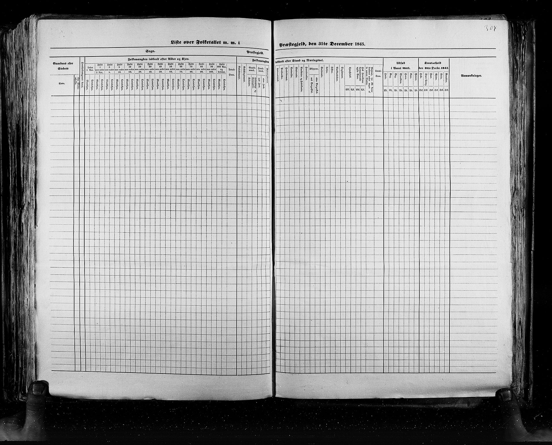 RA, Census 1845, vol. 5: Bratsberg amt og Nedenes og Råbyggelaget amt, 1845, p. 304