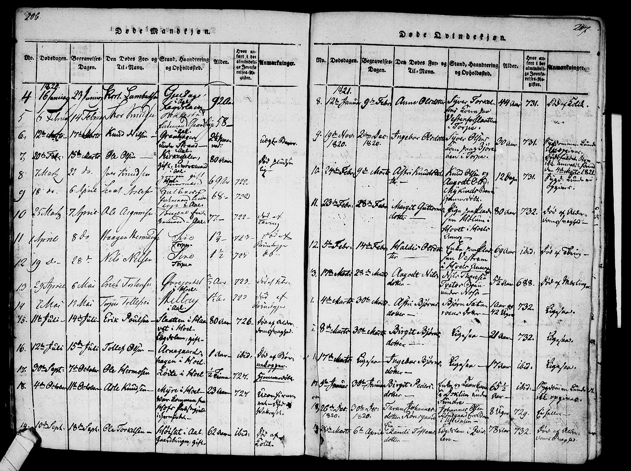 Ål kirkebøker, AV/SAKO-A-249/F/Fa/L0004: Parish register (official) no. I 4, 1815-1825, p. 206-207