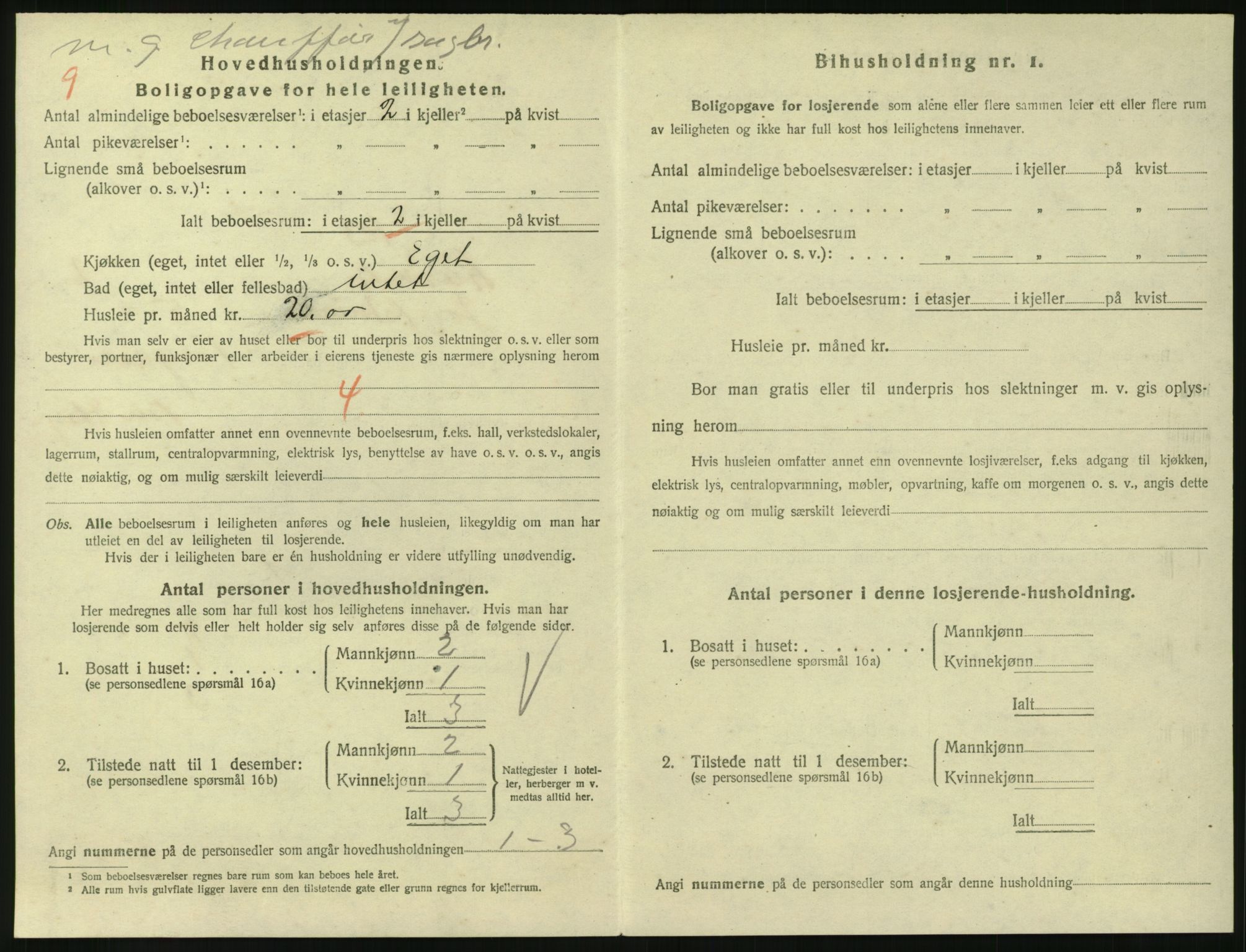 SAKO, 1920 census for Larvik, 1920, p. 3767