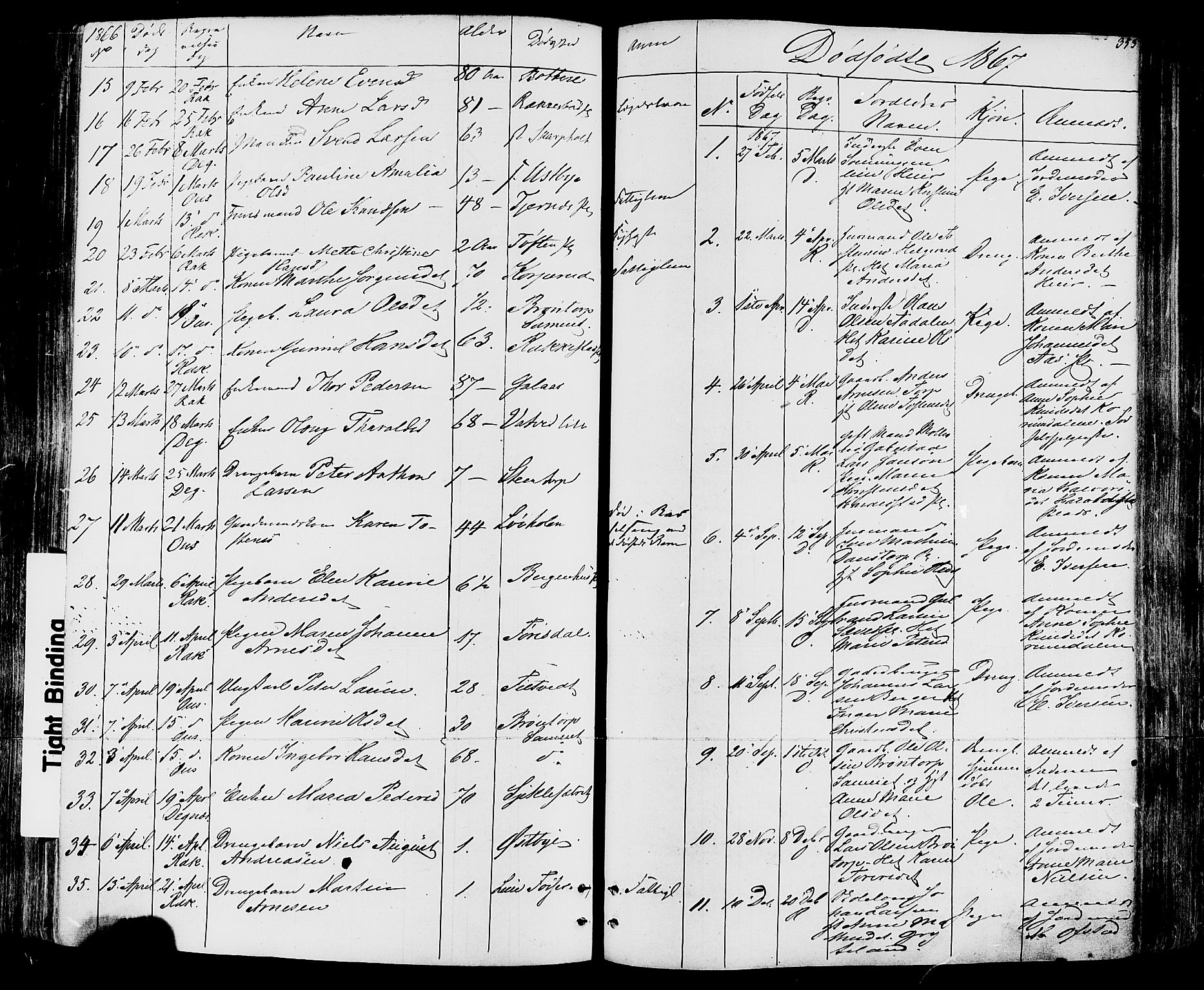 Rakkestad prestekontor Kirkebøker, SAO/A-2008/F/Fa/L0011: Parish register (official) no. I 11, 1862-1877, p. 353
