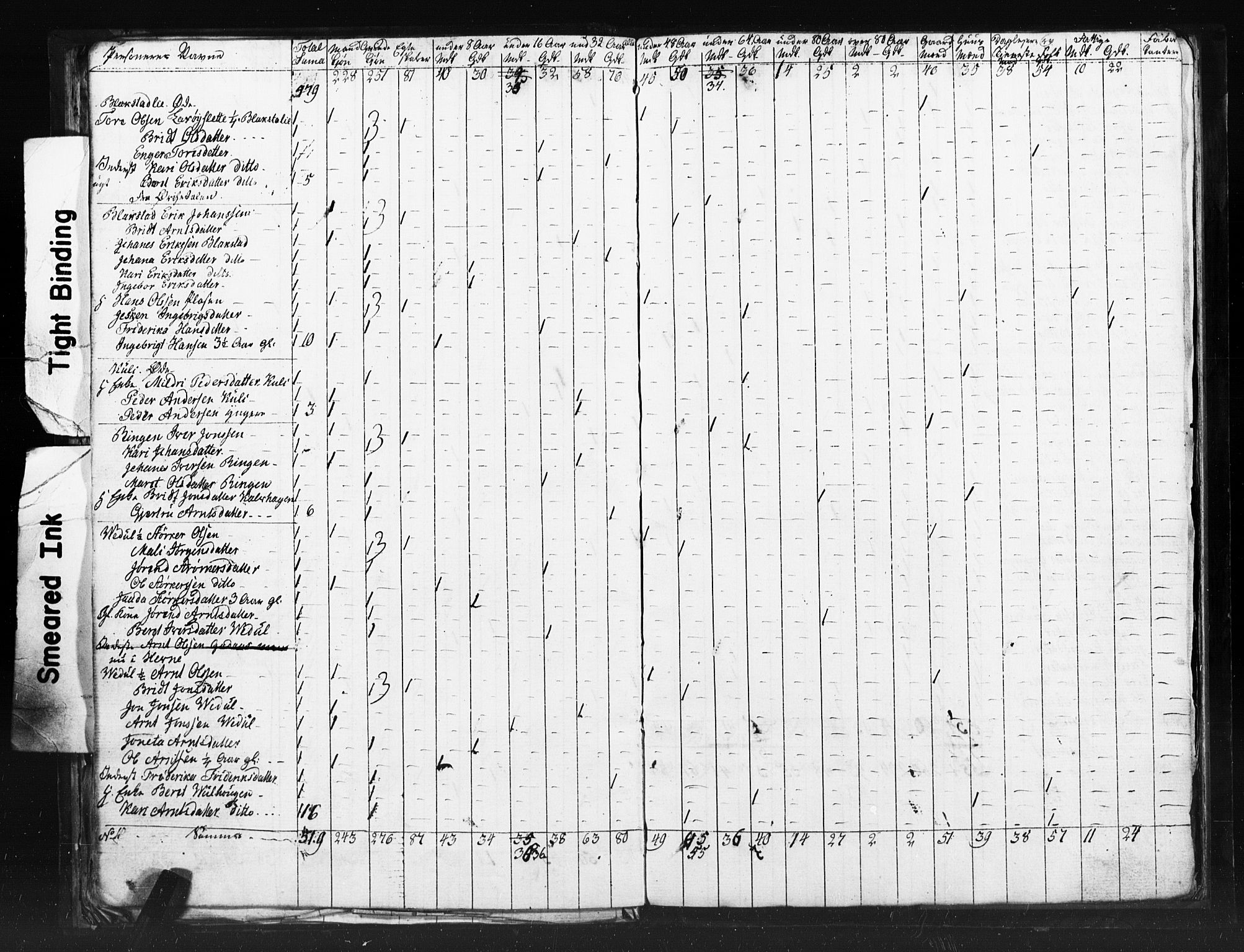 SAT, 1815 Census for Meldal parish, 1815, p. 28