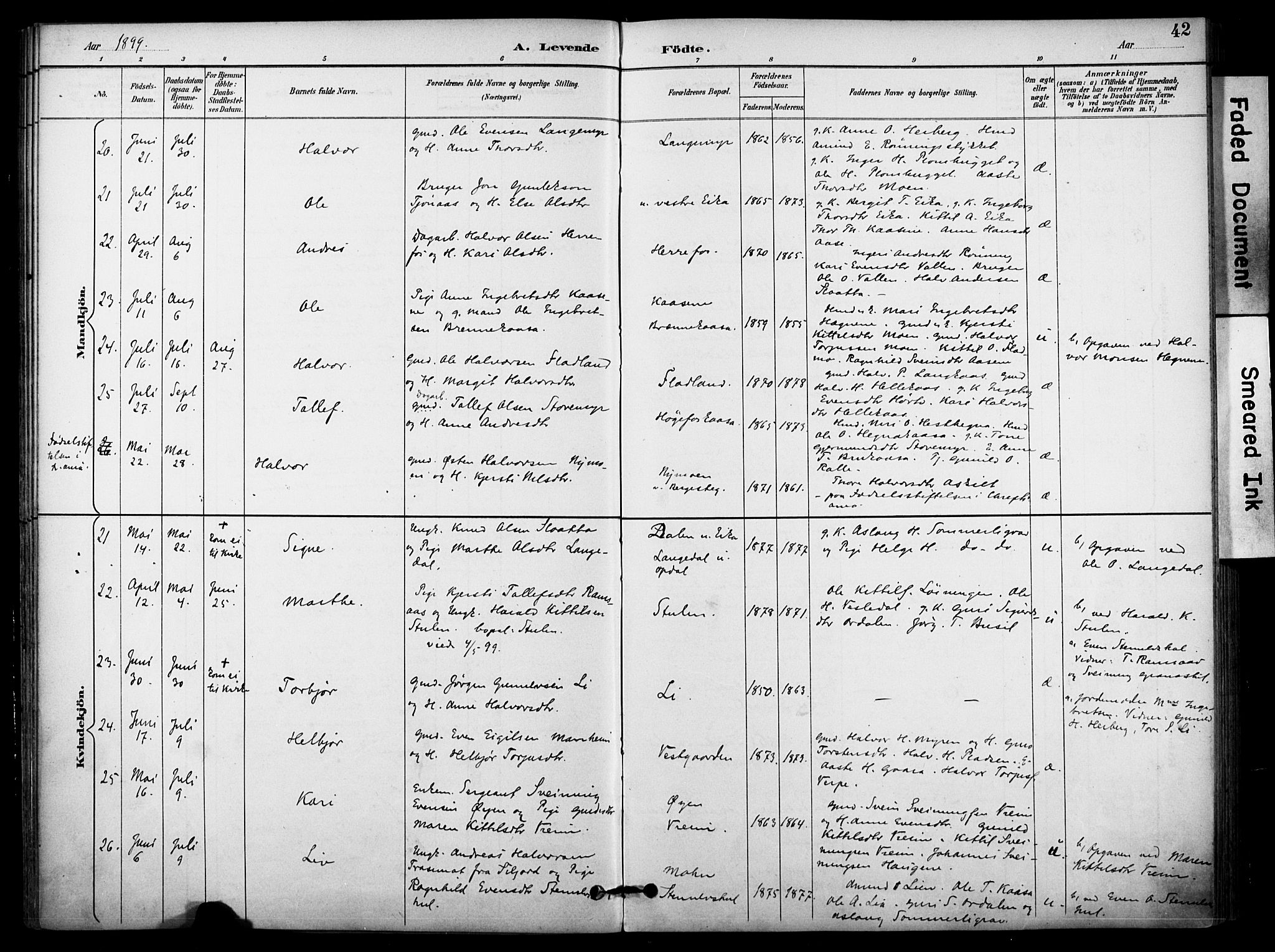 Bø kirkebøker, AV/SAKO-A-257/F/Fa/L0011: Parish register (official) no. 11, 1892-1900, p. 42