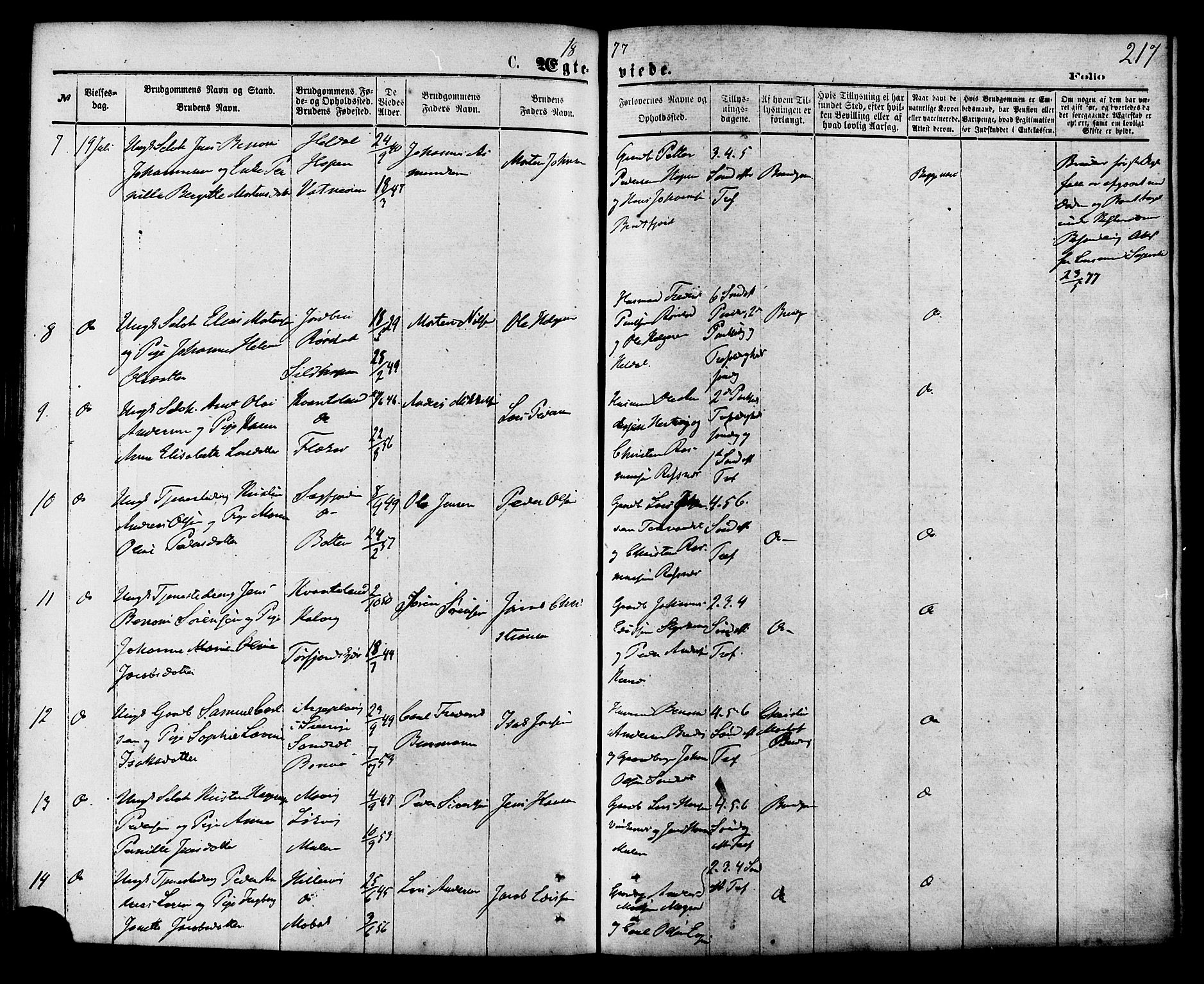 Ministerialprotokoller, klokkerbøker og fødselsregistre - Nordland, AV/SAT-A-1459/853/L0771: Parish register (official) no. 853A10, 1870-1881, p. 217