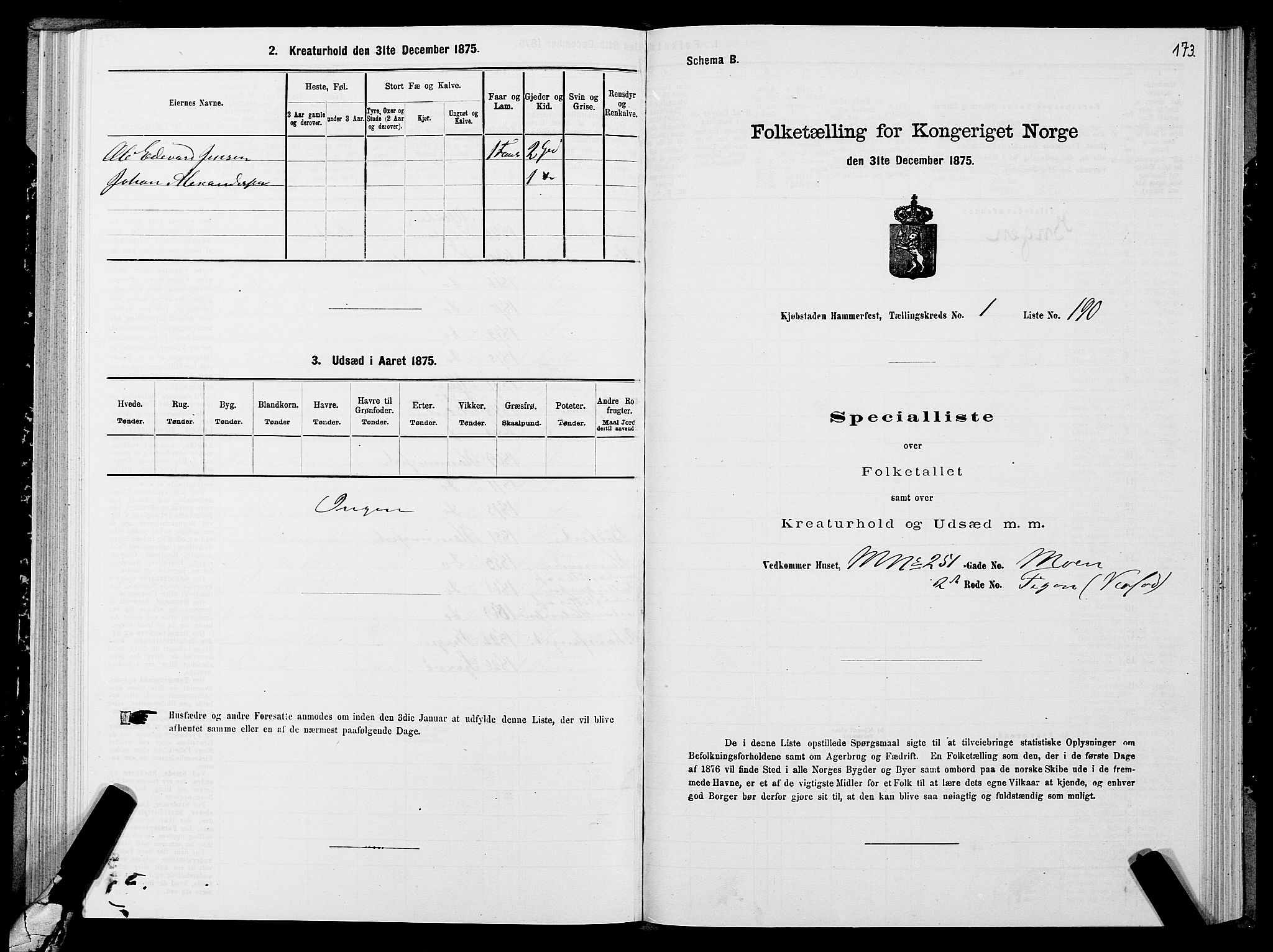 SATØ, 1875 census for 2001B Hammerfest/Hammerfest, 1875, p. 2173