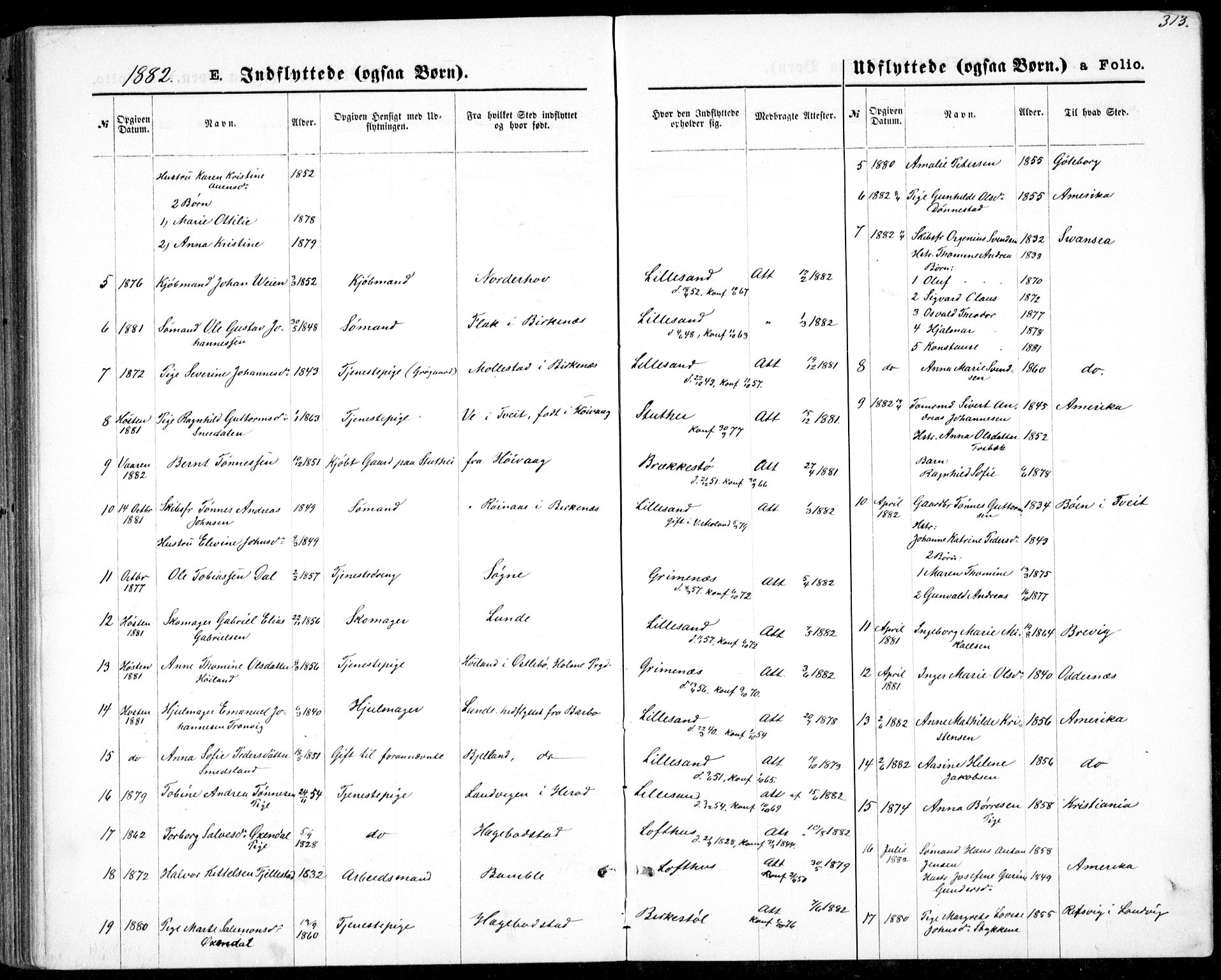 Vestre Moland sokneprestkontor, AV/SAK-1111-0046/F/Fb/Fbb/L0005: Parish register (copy) no. B 5, 1872-1883, p. 313