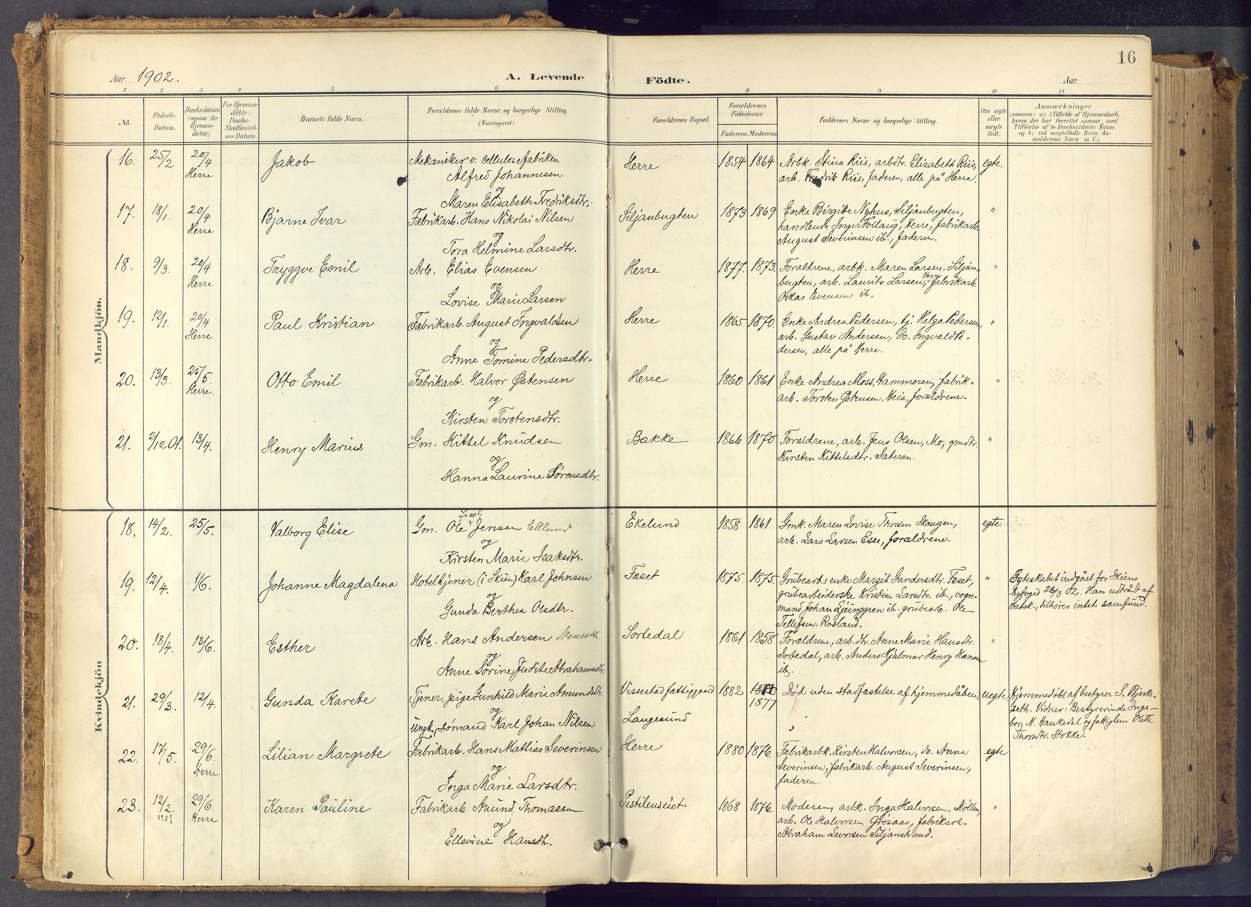 Bamble kirkebøker, SAKO/A-253/F/Fa/L0009: Parish register (official) no. I 9, 1901-1917, p. 16