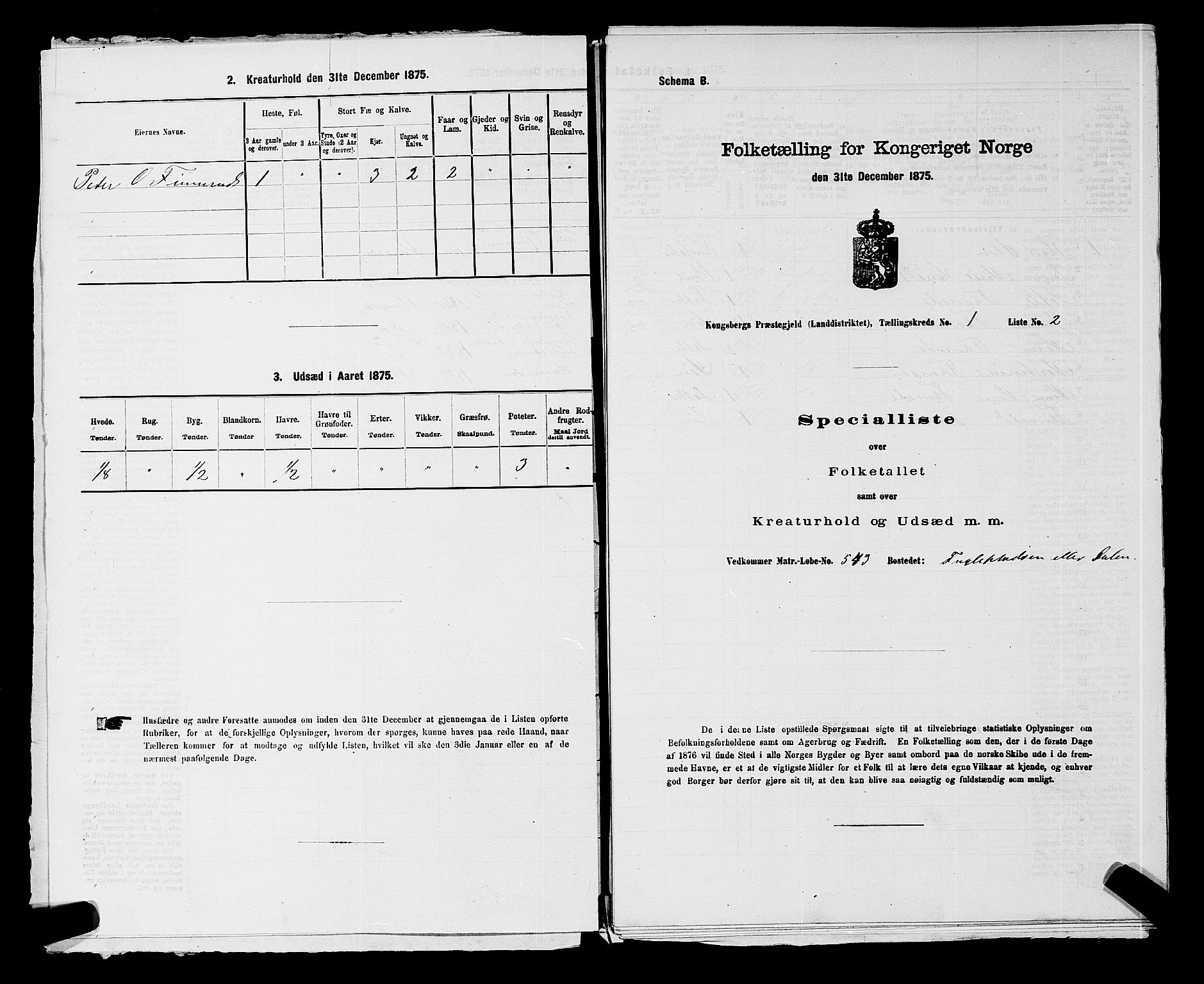 SAKO, 1875 census for 0692L Kongsberg/Kongsberg, 1875, p. 16