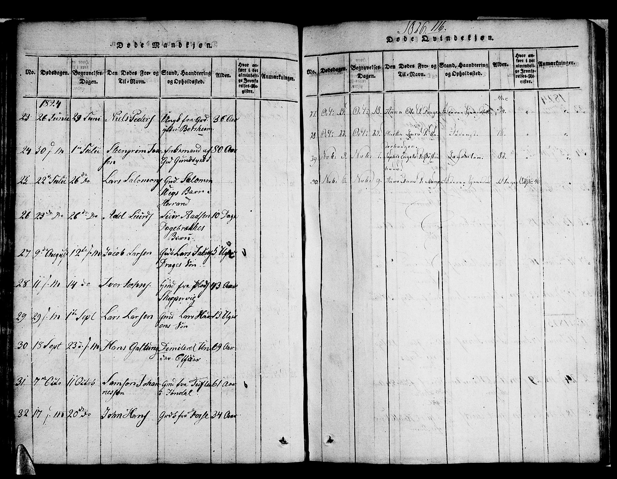 Strandebarm sokneprestembete, AV/SAB-A-78401/H/Haa: Parish register (official) no. A 5, 1816-1826, p. 116