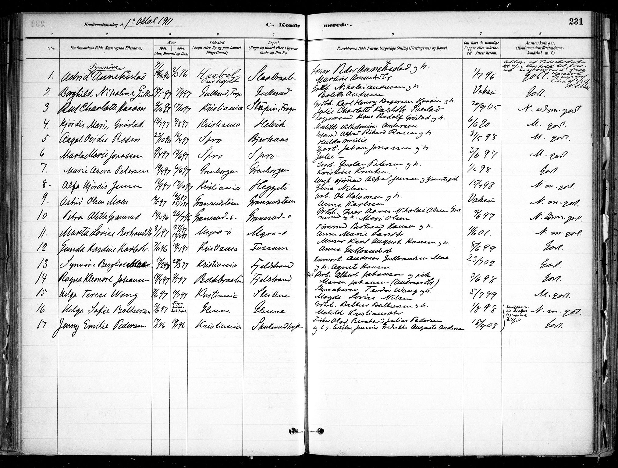 Nesodden prestekontor Kirkebøker, SAO/A-10013/F/Fa/L0009: Parish register (official) no. I 9, 1880-1915, p. 231