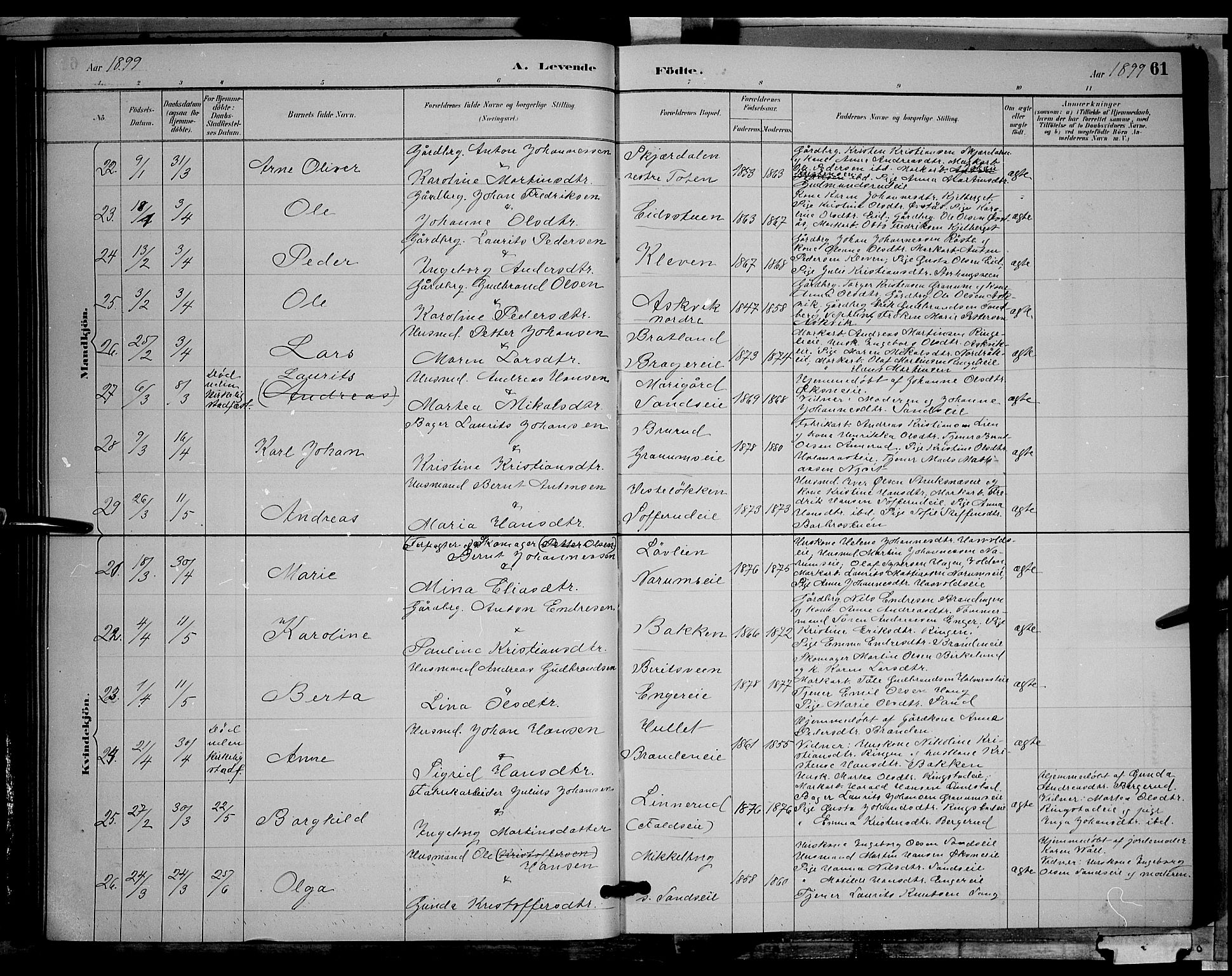 Søndre Land prestekontor, AV/SAH-PREST-122/L/L0002: Parish register (copy) no. 2, 1884-1900, p. 61