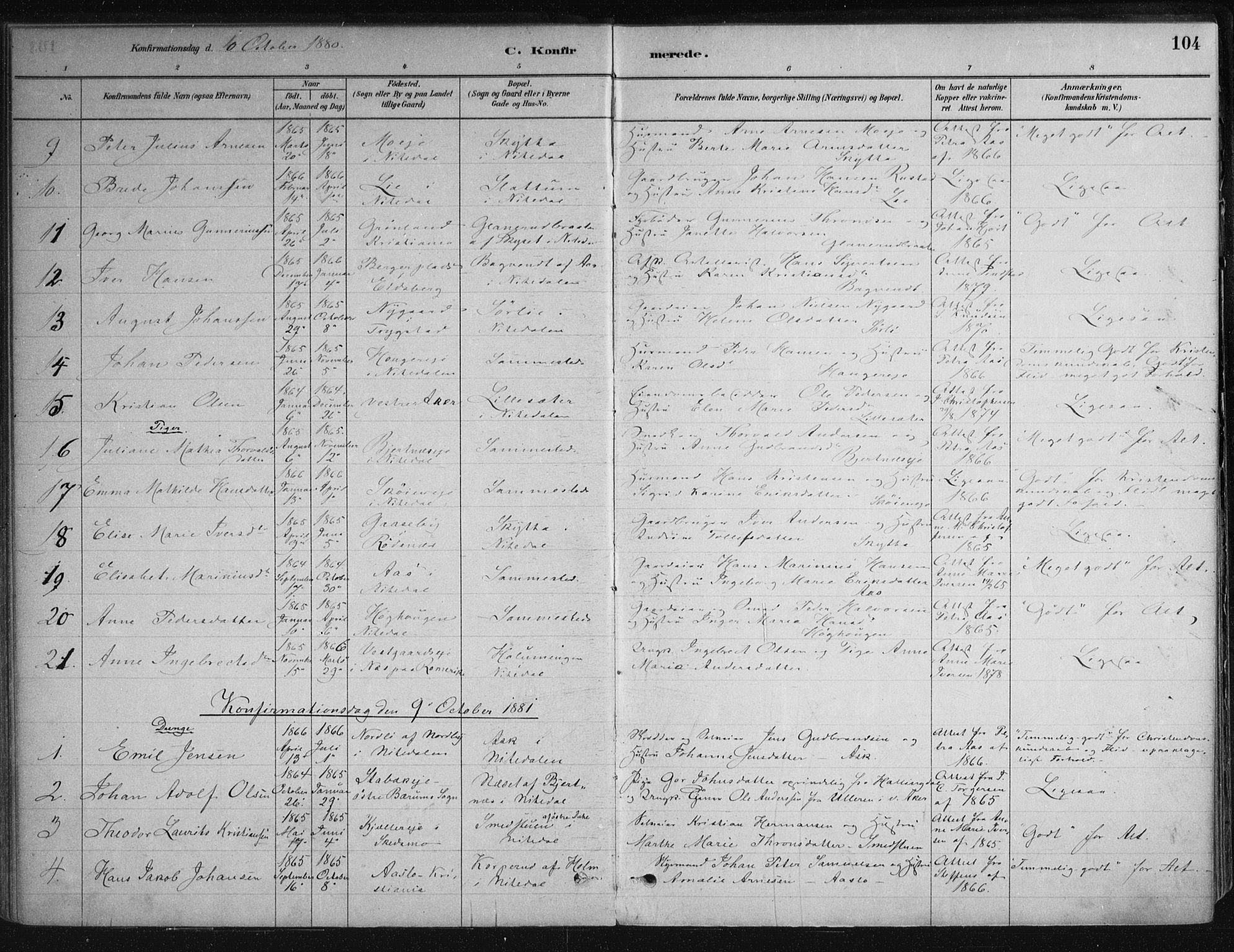 Nittedal prestekontor Kirkebøker, SAO/A-10365a/F/Fa/L0007: Parish register (official) no. I 7, 1879-1901, p. 104