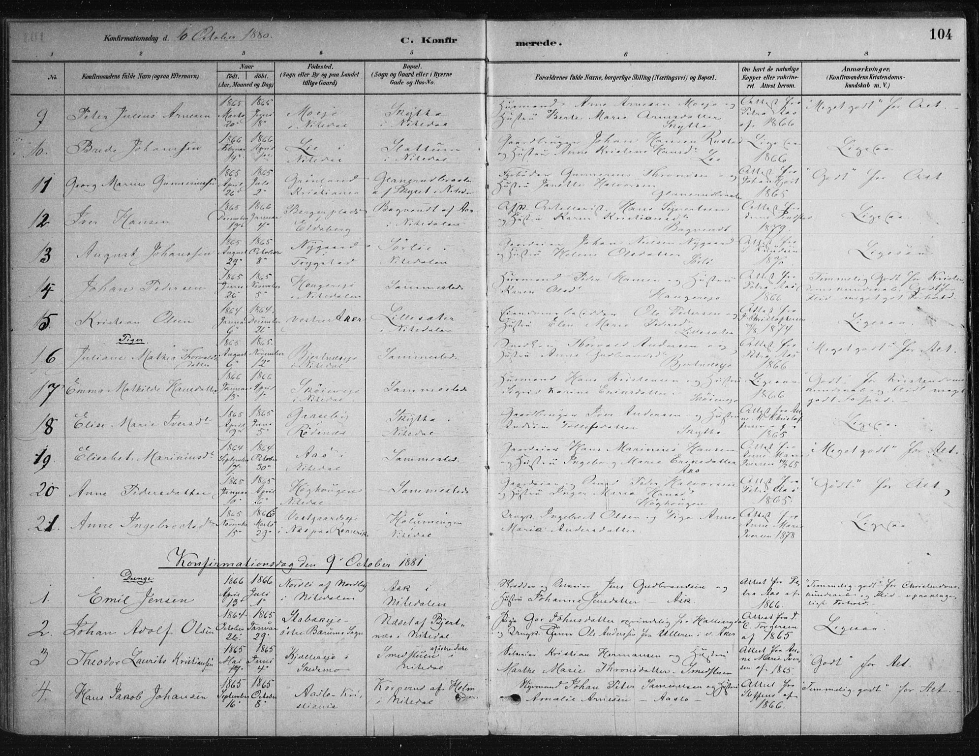 Nittedal prestekontor Kirkebøker, AV/SAO-A-10365a/F/Fa/L0007: Parish register (official) no. I 7, 1879-1901, p. 104