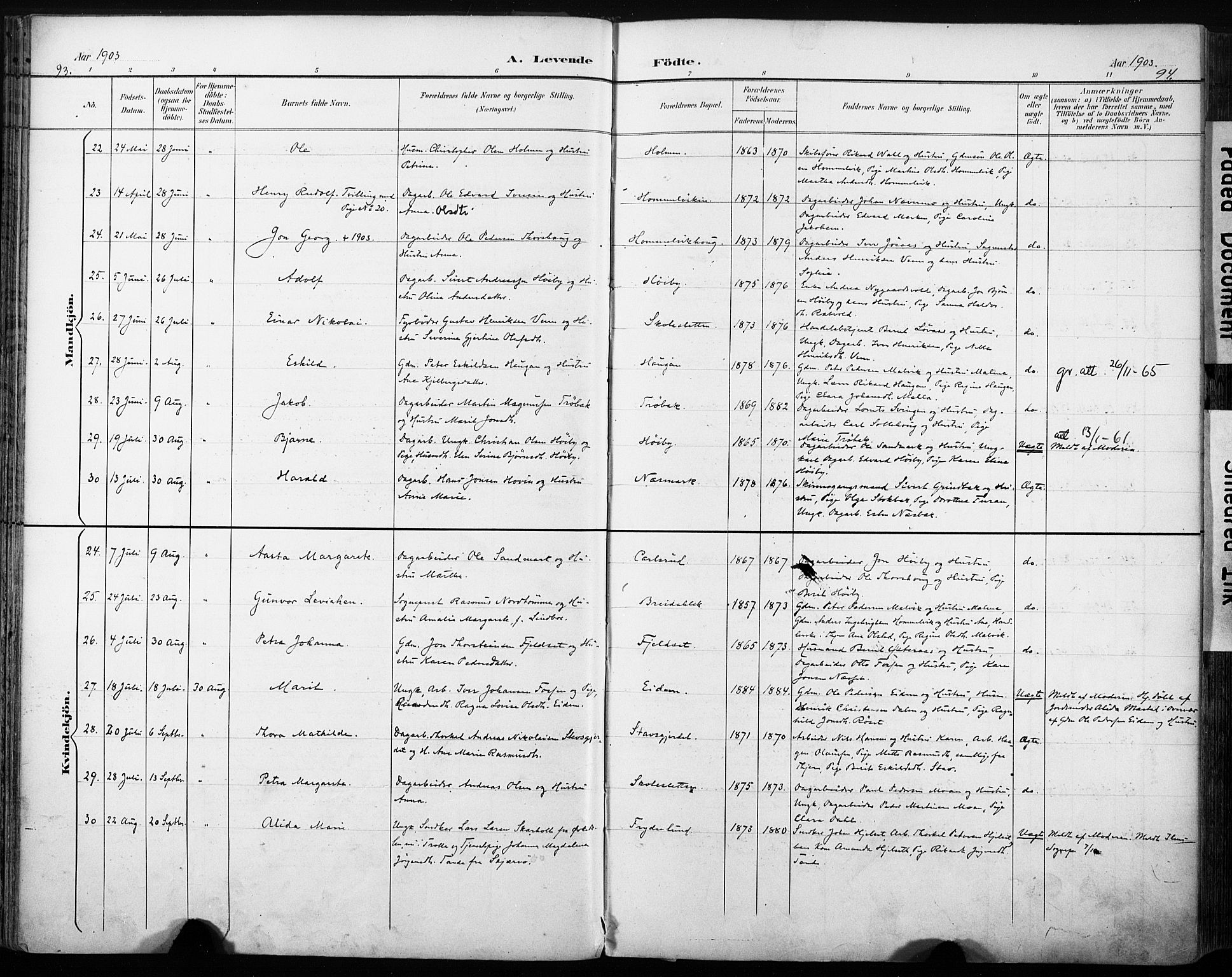 Ministerialprotokoller, klokkerbøker og fødselsregistre - Sør-Trøndelag, SAT/A-1456/616/L0411: Parish register (official) no. 616A08, 1894-1906, p. 93-94