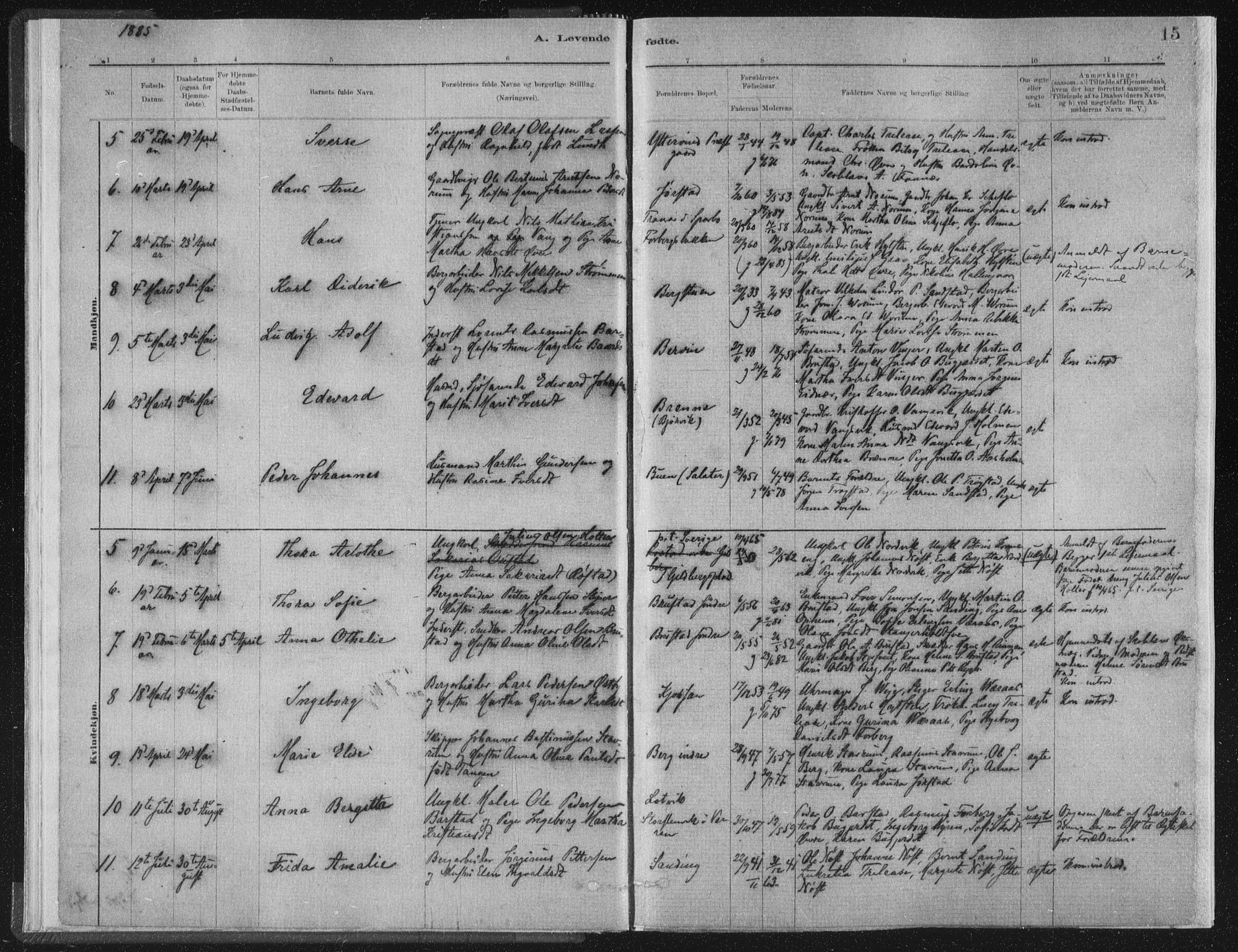 Ministerialprotokoller, klokkerbøker og fødselsregistre - Nord-Trøndelag, SAT/A-1458/722/L0220: Parish register (official) no. 722A07, 1881-1908, p. 15