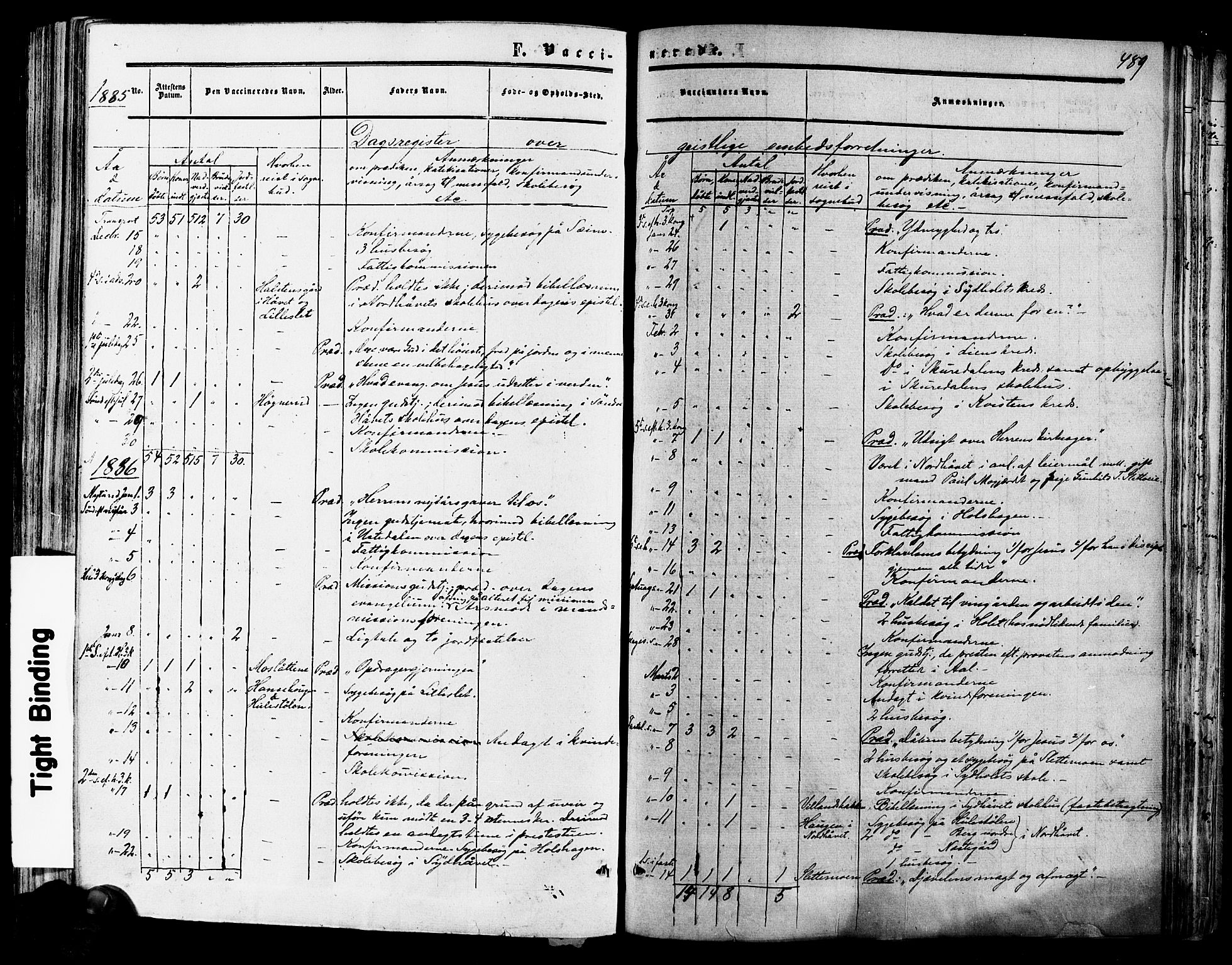 Hol kirkebøker, SAKO/A-227/F/Fa/L0002: Parish register (official) no. I 2, 1870-1886, p. 489