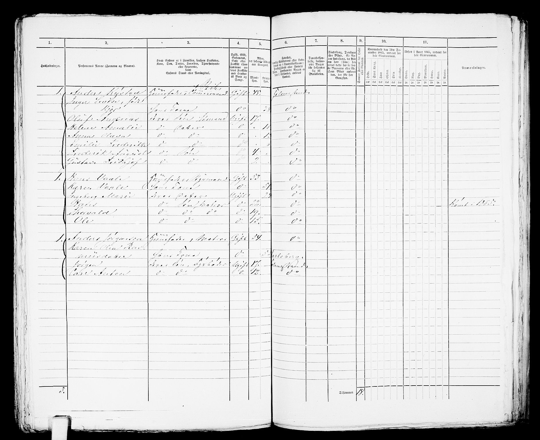 RA, 1865 census for Botne/Holmestrand, 1865, p. 299