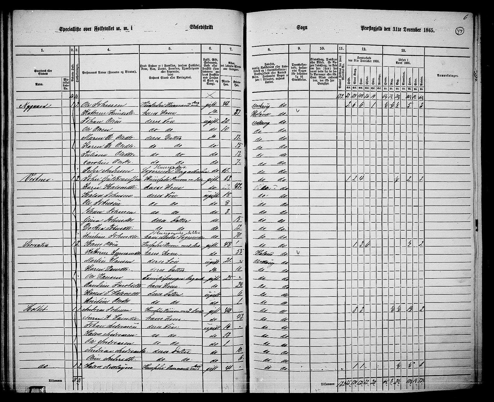 RA, 1865 census for Aurskog, 1865, p. 41