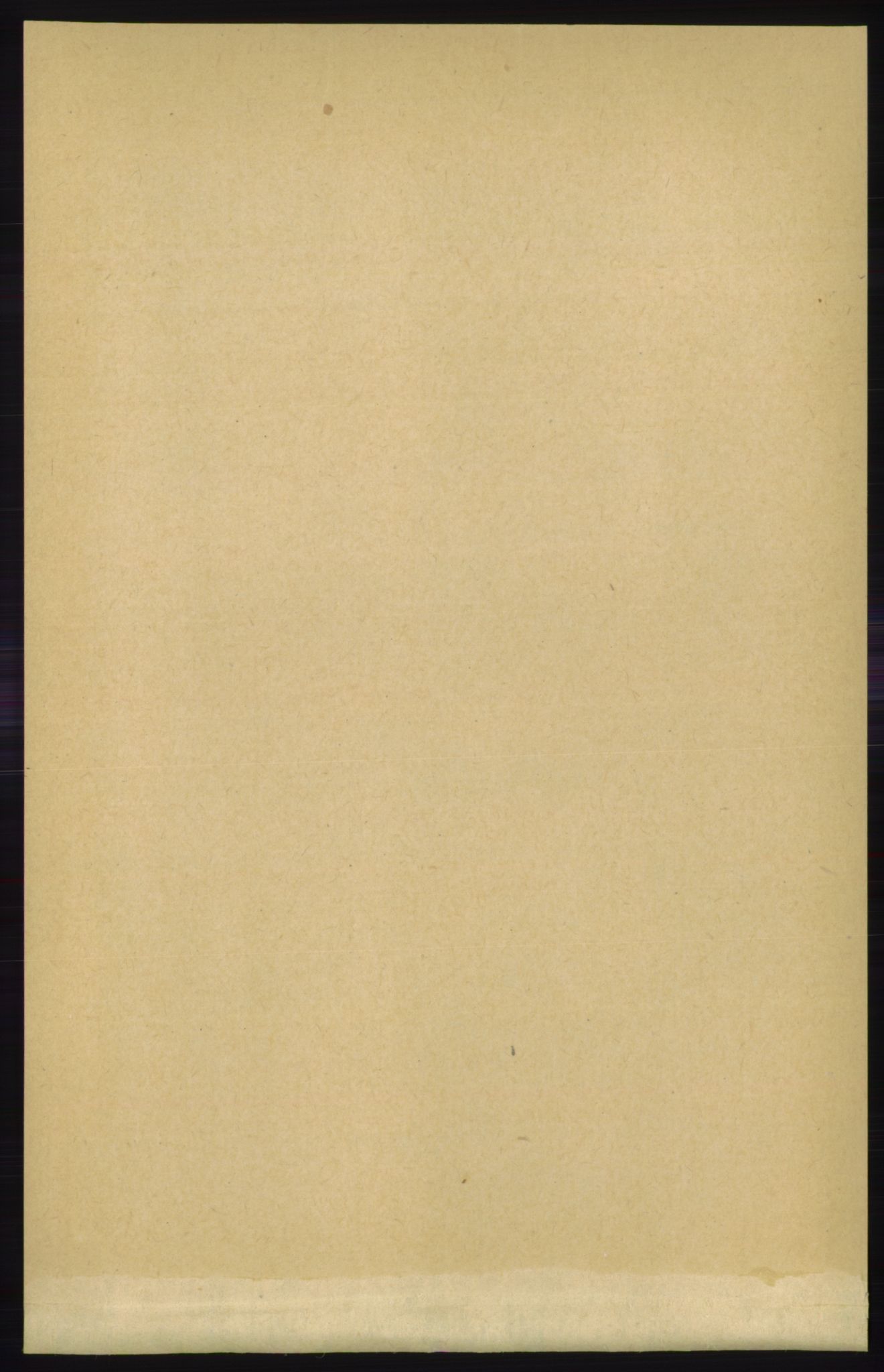 RA, 1891 census for 1145 Bokn, 1891, p. 864