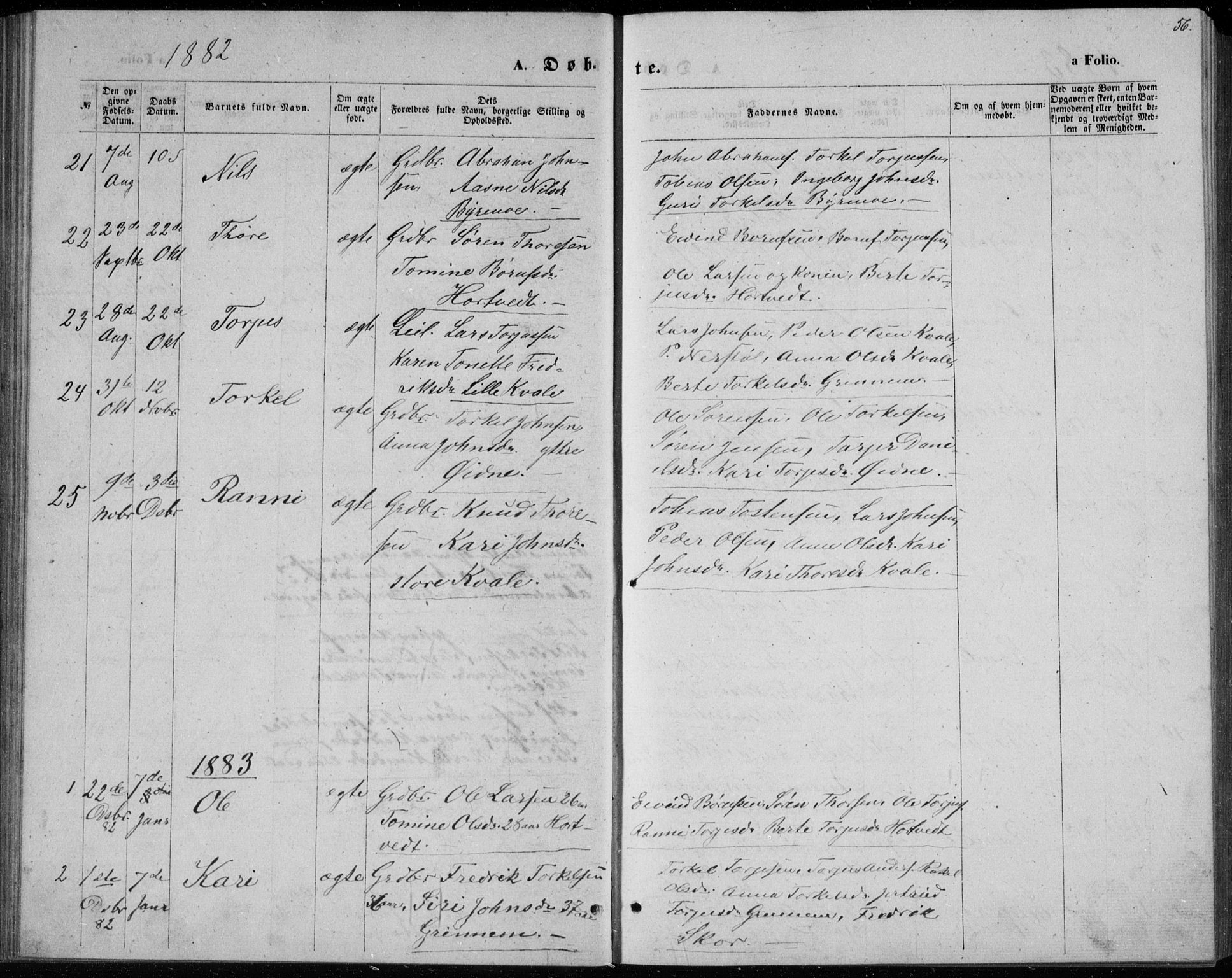 Bjelland sokneprestkontor, SAK/1111-0005/F/Fb/Fbc/L0002: Parish register (copy) no. B 2, 1867-1887, p. 56
