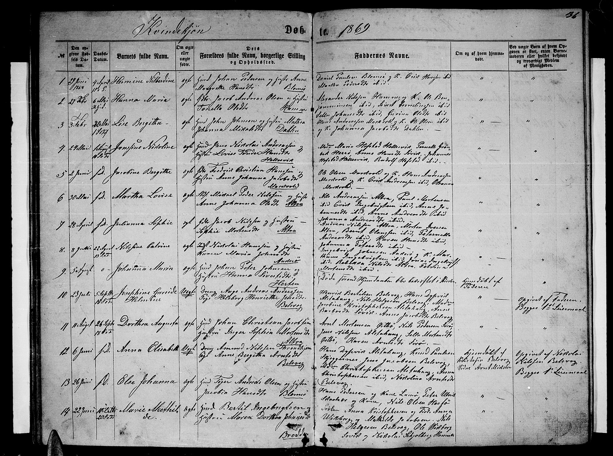 Ministerialprotokoller, klokkerbøker og fødselsregistre - Nordland, SAT/A-1459/830/L0461: Parish register (copy) no. 830C03, 1866-1881, p. 36