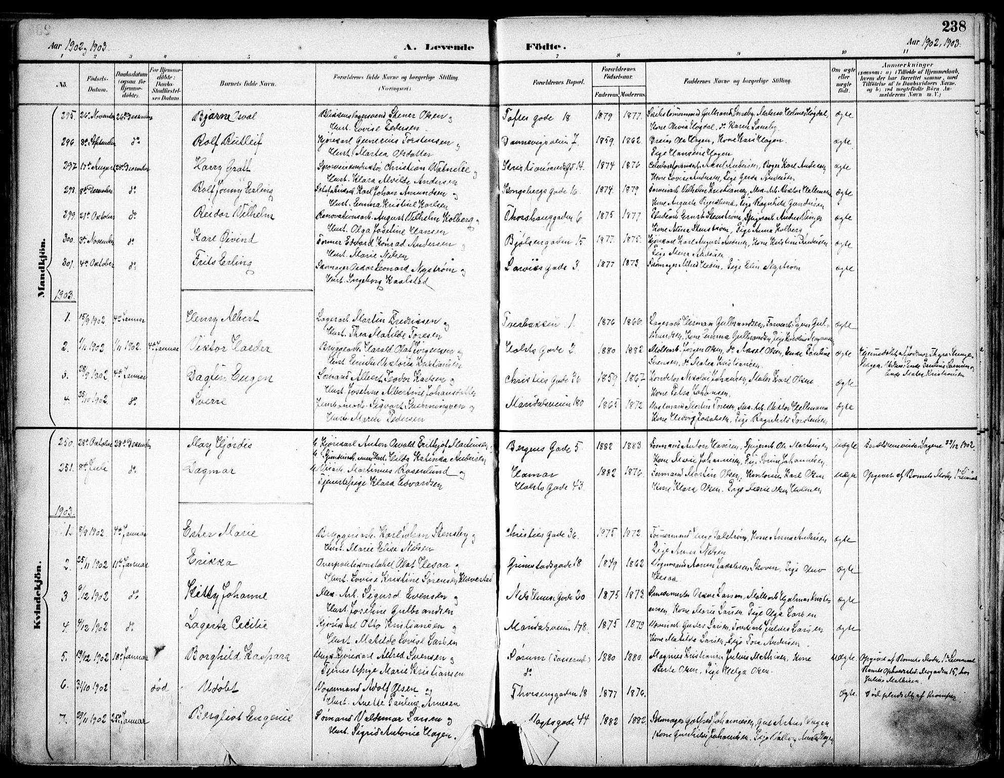 Sagene prestekontor Kirkebøker, SAO/A-10796/F/L0004: Parish register (official) no. 4, 1894-1904, p. 238
