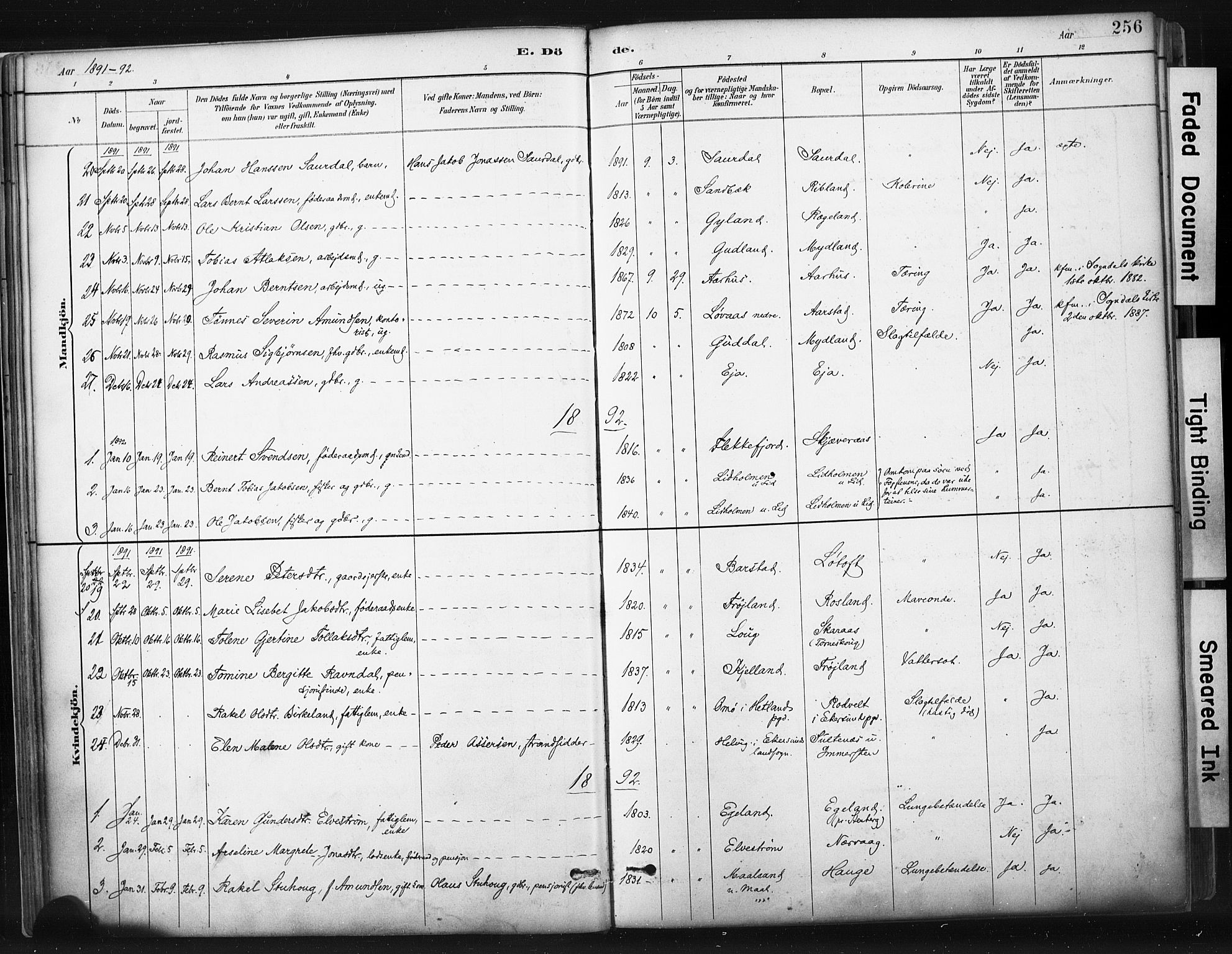Sokndal sokneprestkontor, SAST/A-101808: Parish register (official) no. A 11.2, 1887-1905, p. 256