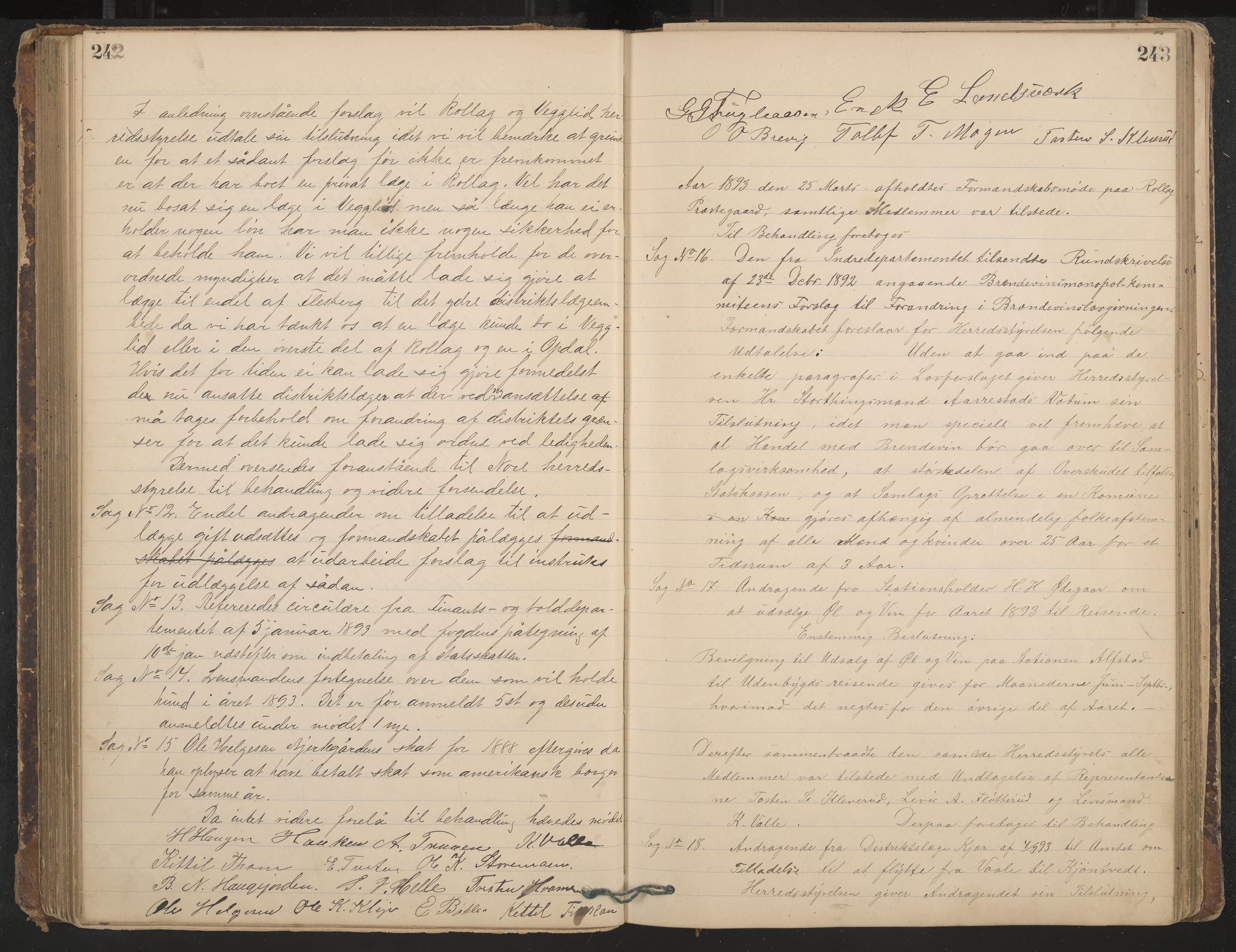 Rollag formannskap og sentraladministrasjon, IKAK/0632021-2/A/Aa/L0003: Møtebok, 1884-1897, p. 242-243