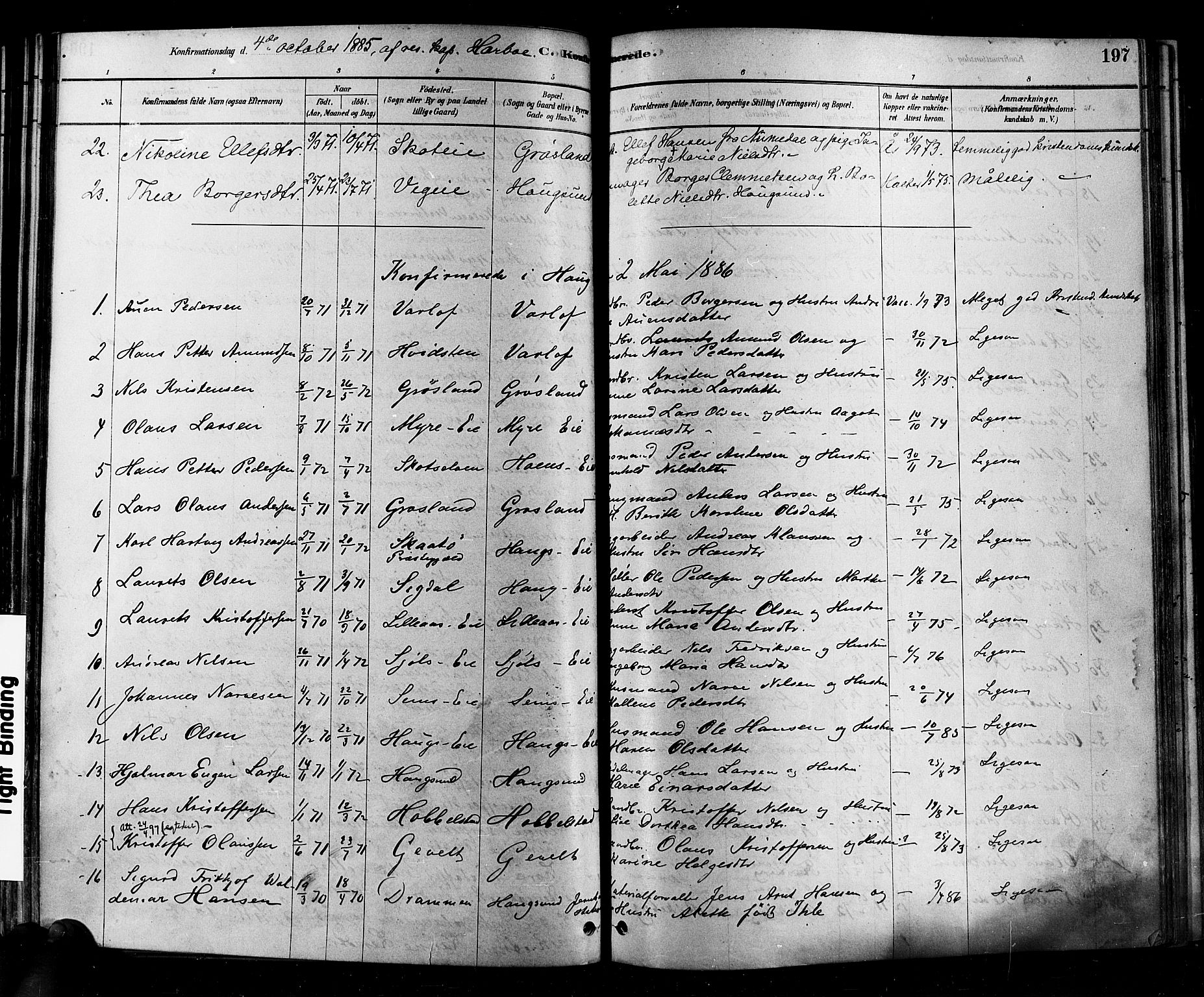 Eiker kirkebøker, AV/SAKO-A-4/F/Fb/L0001: Parish register (official) no. II 1, 1878-1888, p. 197