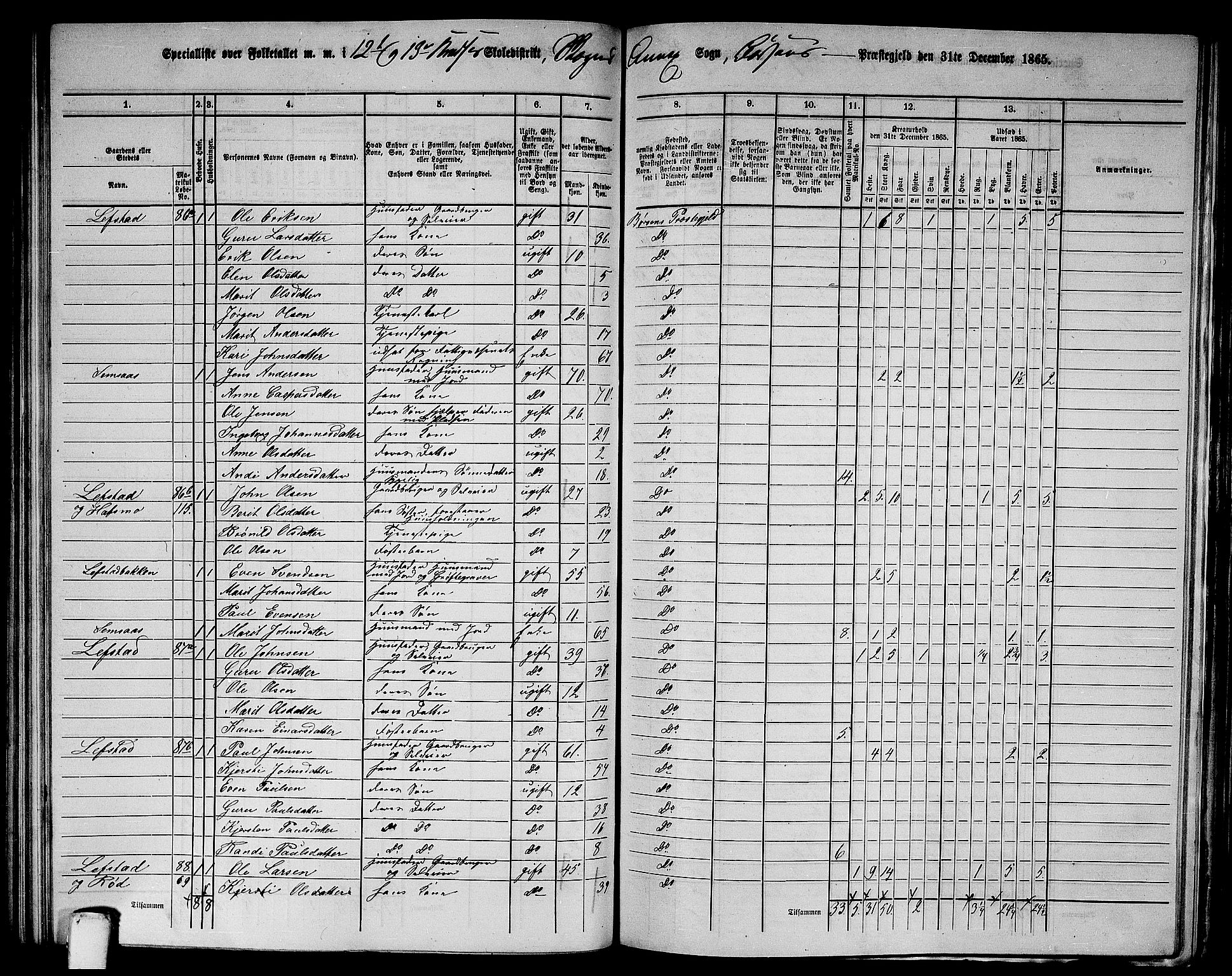 RA, 1865 census for Børsa, 1865, p. 144