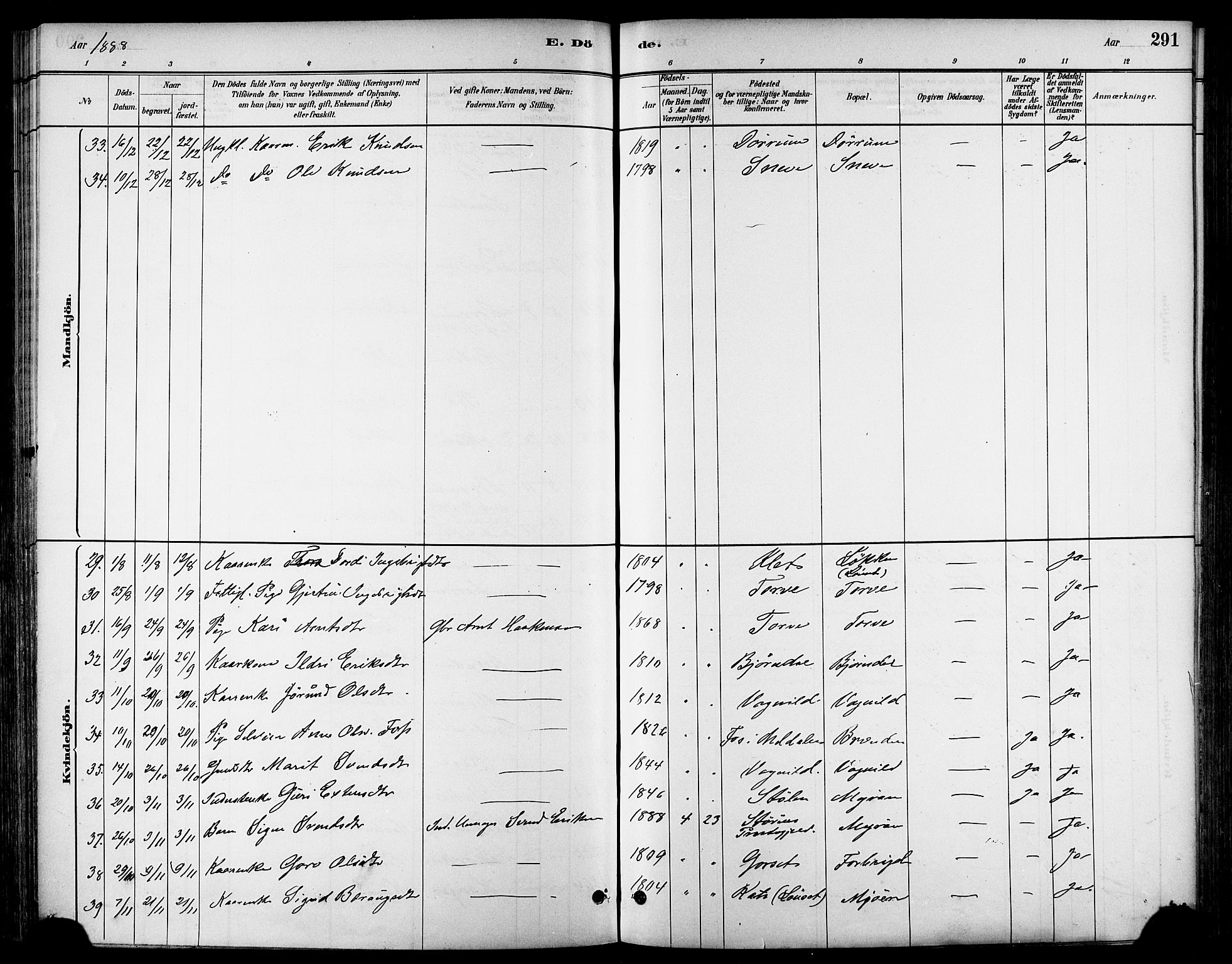 Ministerialprotokoller, klokkerbøker og fødselsregistre - Sør-Trøndelag, AV/SAT-A-1456/678/L0901: Parish register (official) no. 678A10, 1881-1894, p. 291