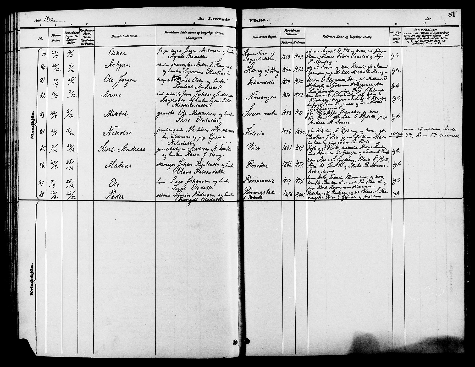 Løten prestekontor, AV/SAH-PREST-022/L/La/L0006: Parish register (copy) no. 6, 1892-1909, p. 81