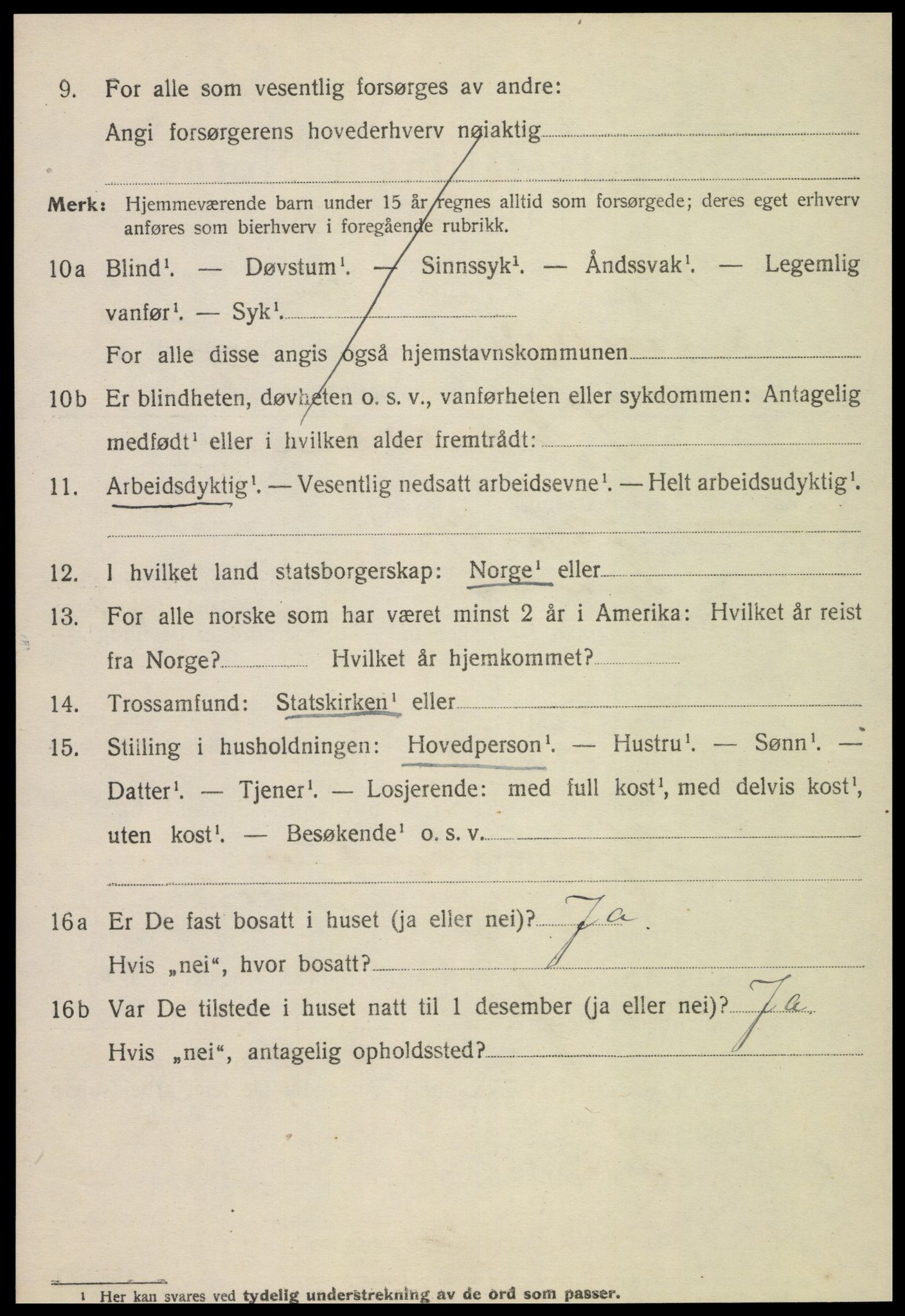 SAT, 1920 census for Steinkjer, 1920, p. 4223