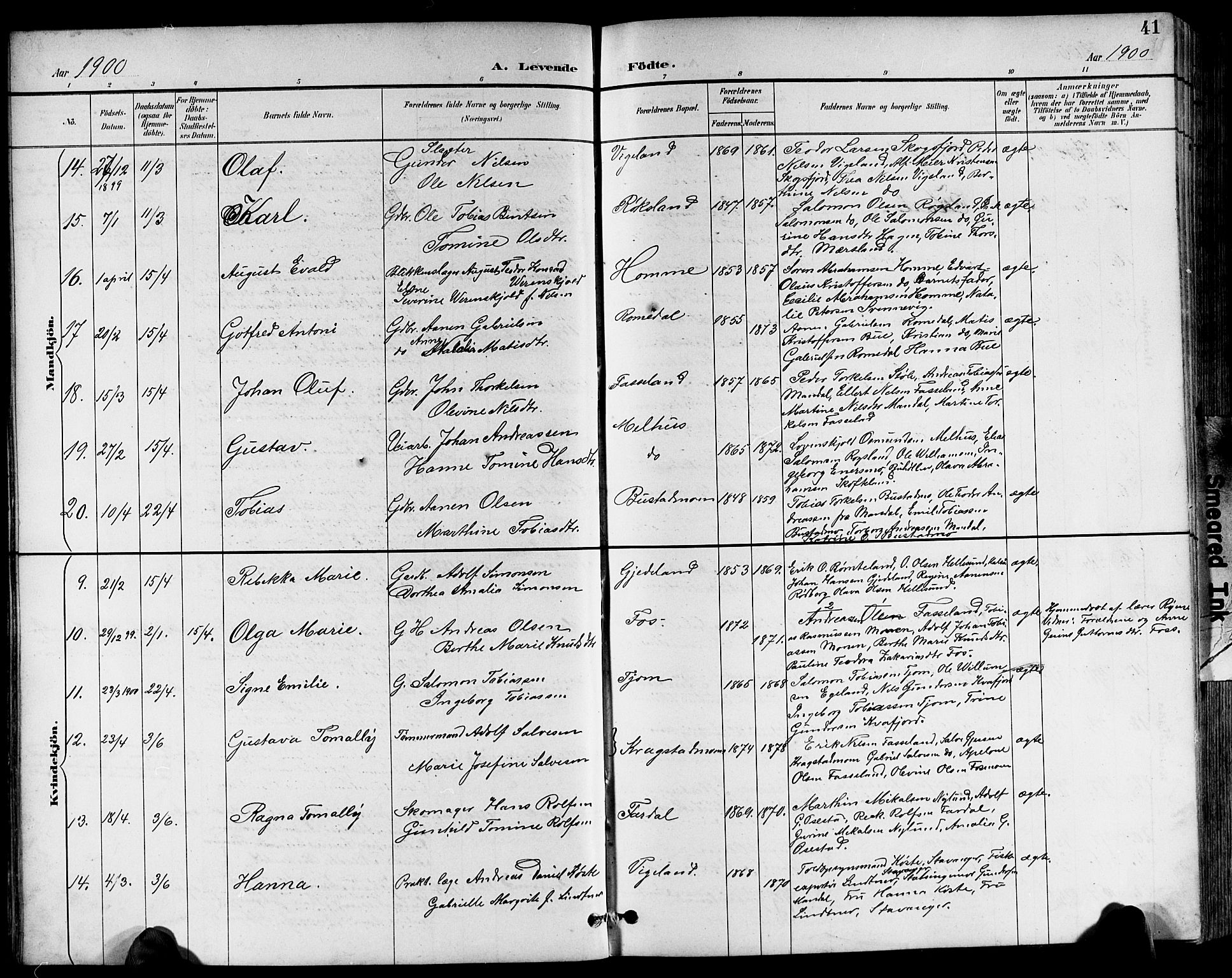 Sør-Audnedal sokneprestkontor, AV/SAK-1111-0039/F/Fb/Fbb/L0006: Parish register (copy) no. B 6, 1893-1915, p. 41