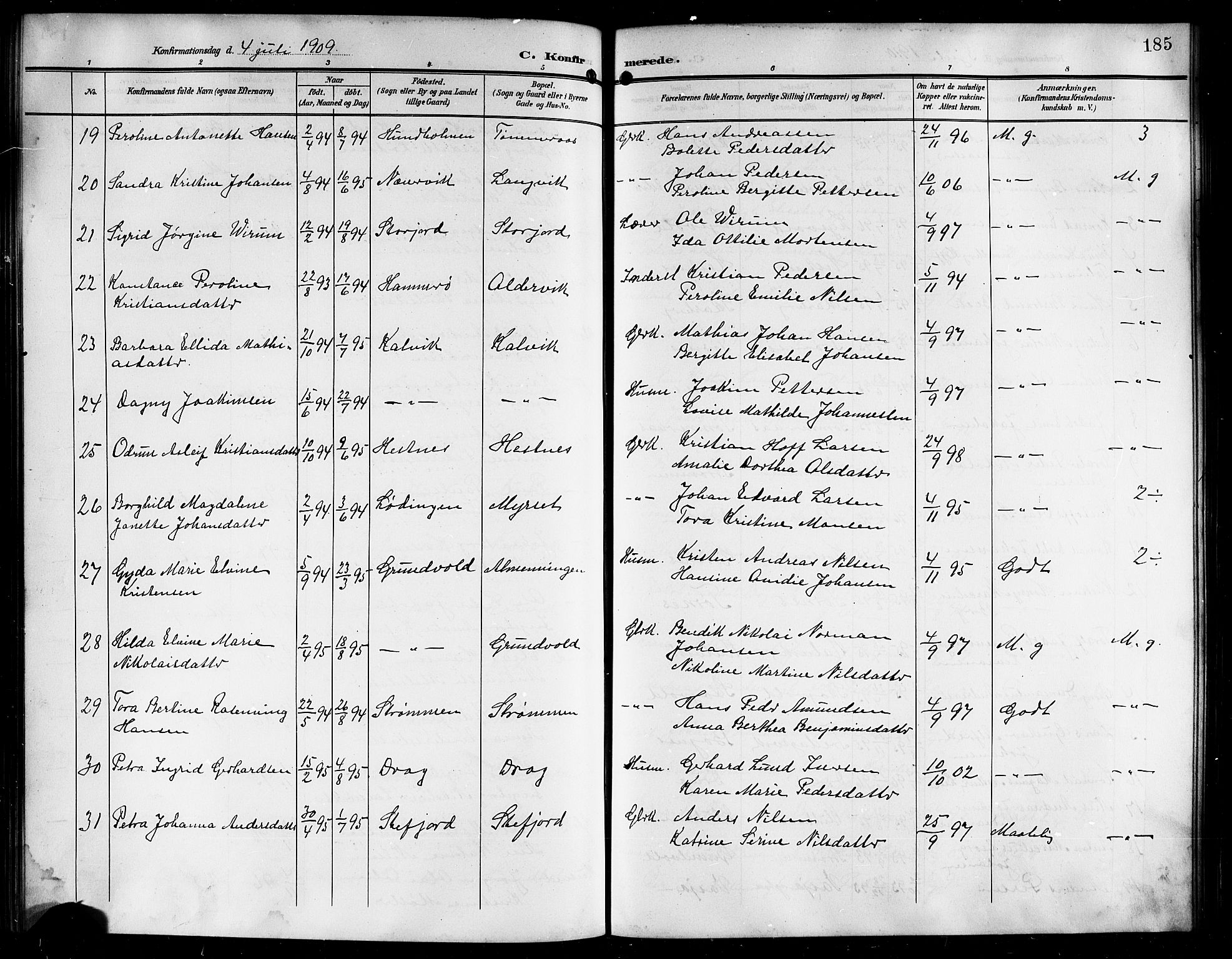 Ministerialprotokoller, klokkerbøker og fødselsregistre - Nordland, AV/SAT-A-1459/861/L0877: Parish register (copy) no. 861C03, 1903-1919, p. 185