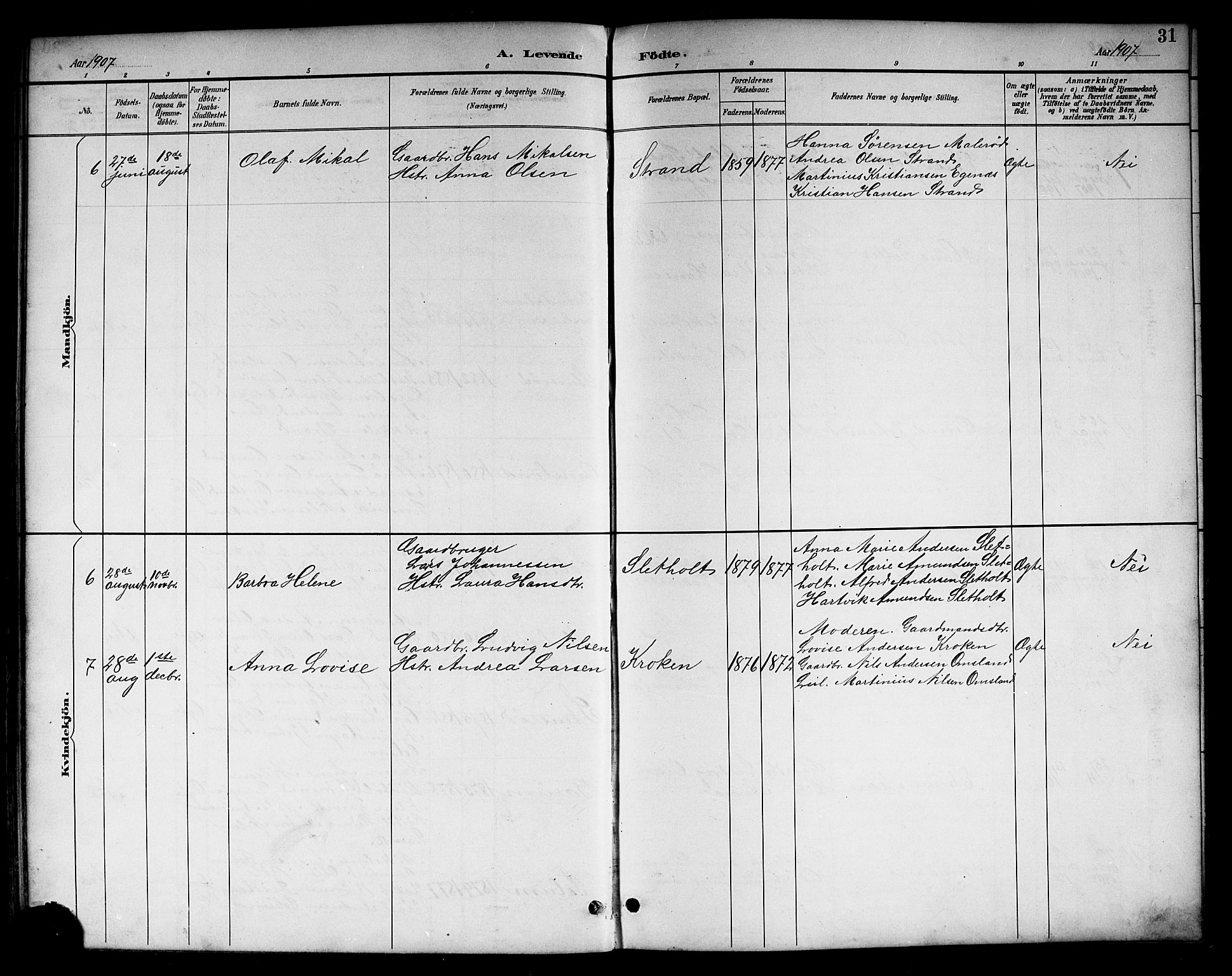 Brunlanes kirkebøker, SAKO/A-342/G/Gc/L0002: Parish register (copy) no. III 2, 1891-1922, p. 31