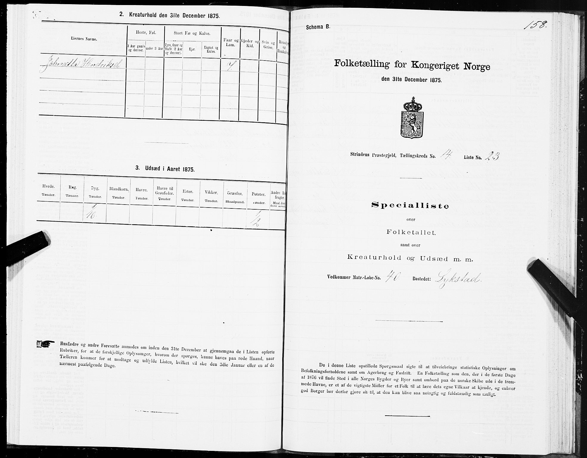 SAT, 1875 census for 1660P Strinda, 1875, p. 8158