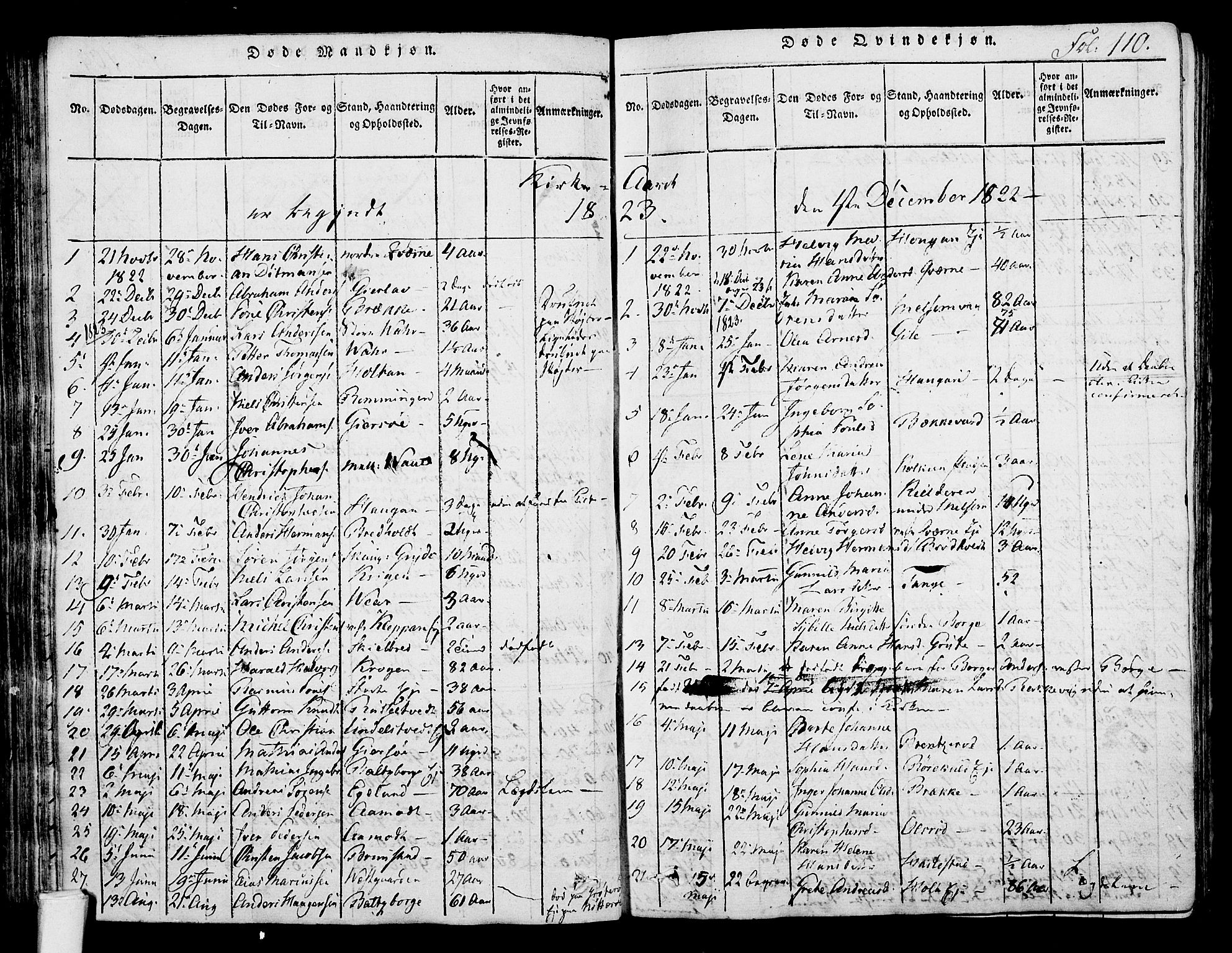 Stokke kirkebøker, SAKO/A-320/F/Fa/L0005: Parish register (official) no. I 5, 1815-1826, p. 110