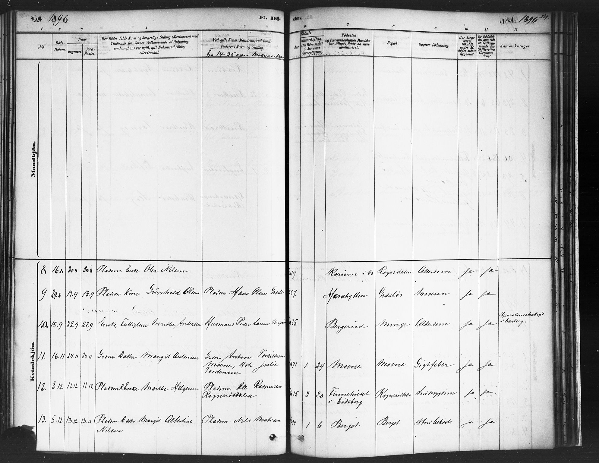 Varteig prestekontor Kirkebøker, SAO/A-10447a/F/Fa/L0002: Parish register (official) no. 2, 1878-1899, p. 229