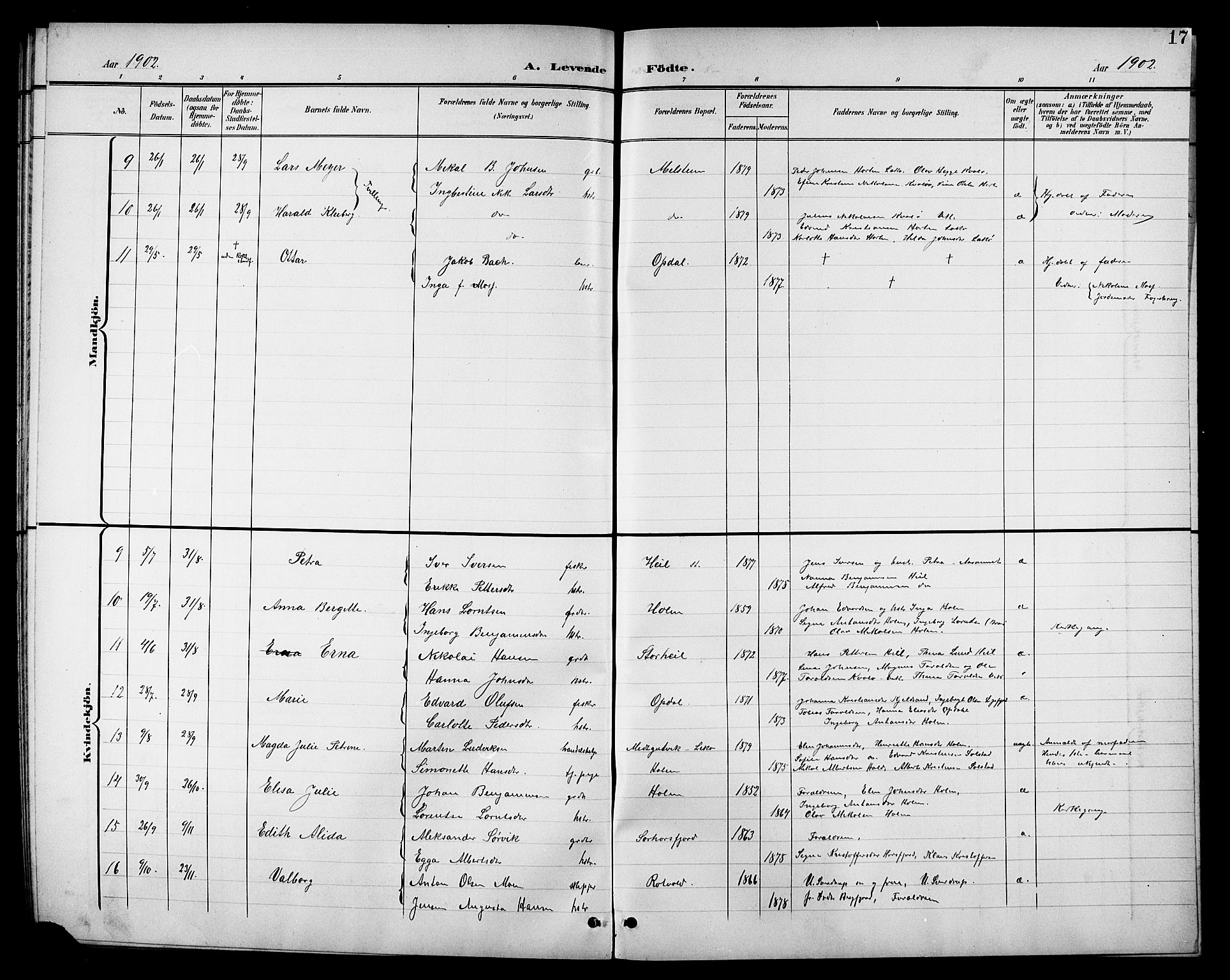 Ministerialprotokoller, klokkerbøker og fødselsregistre - Nordland, SAT/A-1459/811/L0170: Parish register (copy) no. 811C02, 1896-1908, p. 17