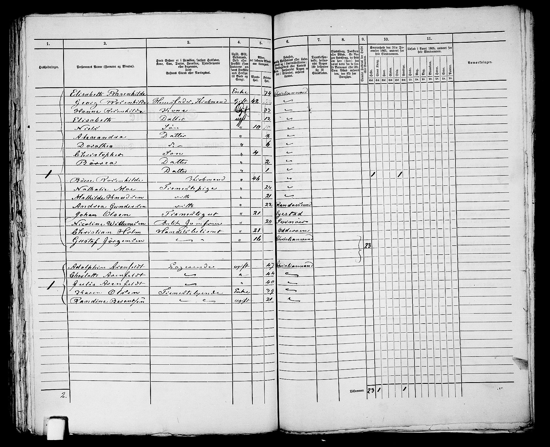 RA, 1865 census for Kristiansand, 1865, p. 1488