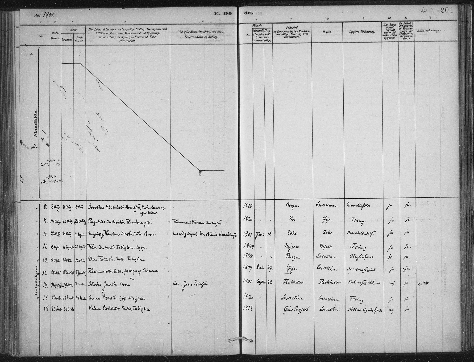 Lærdal sokneprestembete, SAB/A-81201: Parish register (official) no. D  1, 1878-1908, p. 201