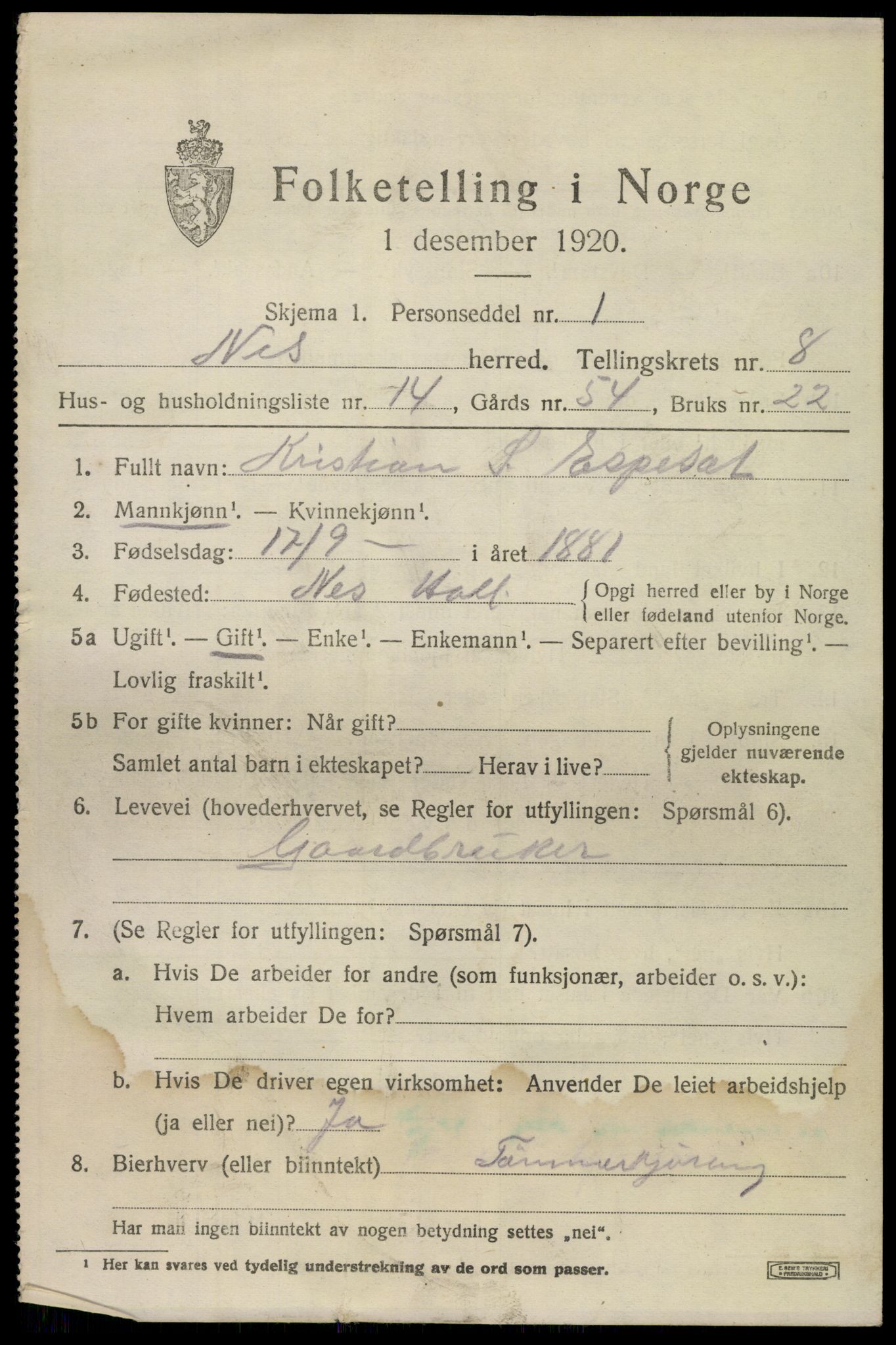 SAKO, 1920 census for Nes (Buskerud), 1920, p. 5202