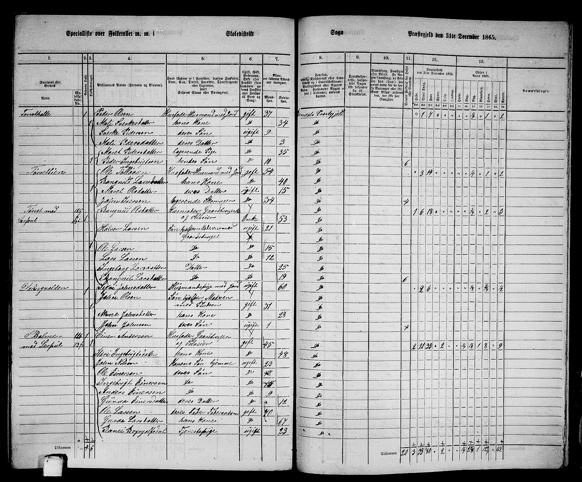 RA, 1865 census for Rindal, 1865, p. 96