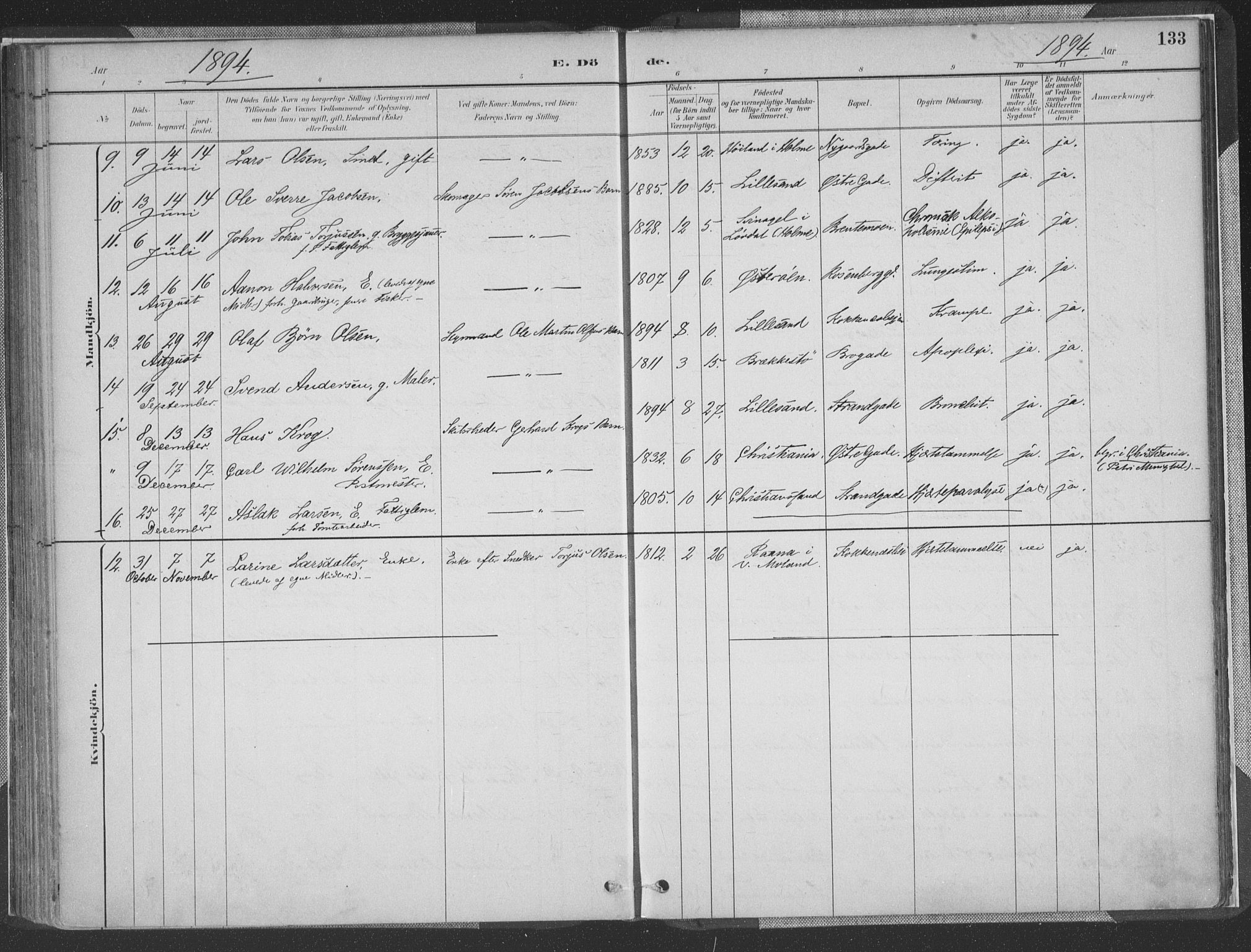 Vestre Moland sokneprestkontor, AV/SAK-1111-0046/F/Fa/Faa/L0001: Parish register (official) no. A 1, 1884-1899, p. 133