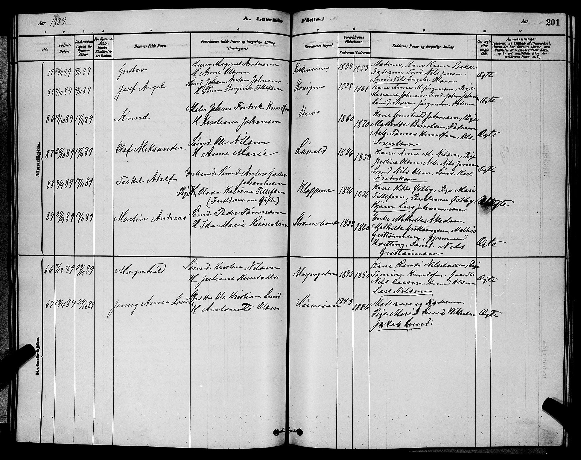 Barbu sokneprestkontor, AV/SAK-1111-0003/F/Fb/L0001: Parish register (copy) no. B 1, 1878-1890, p. 201