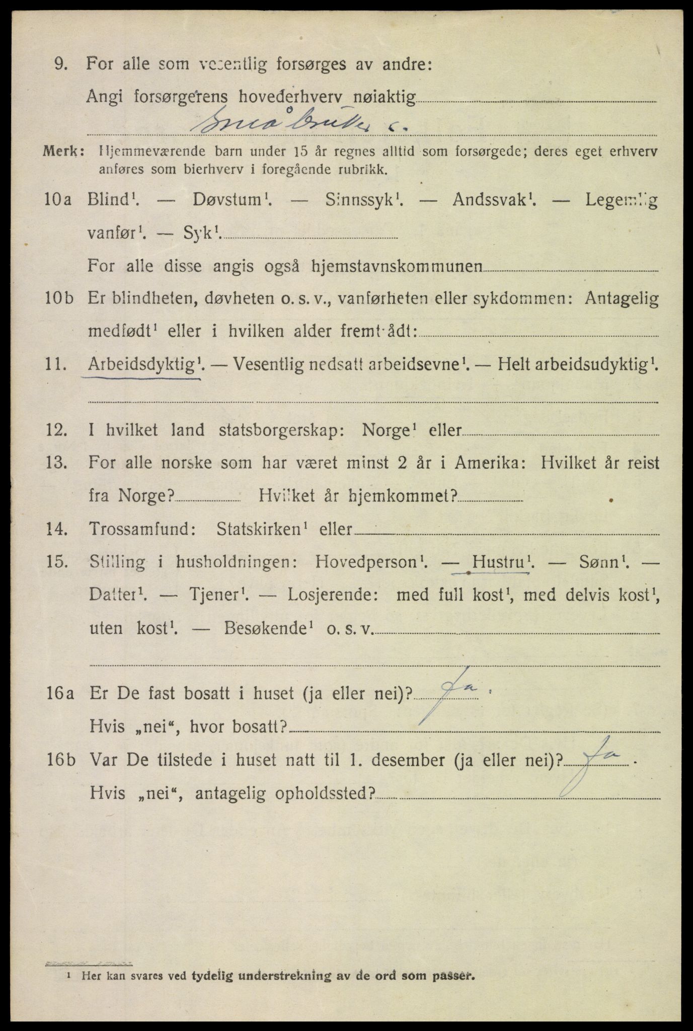 SAH, 1920 census for Fluberg, 1920, p. 791