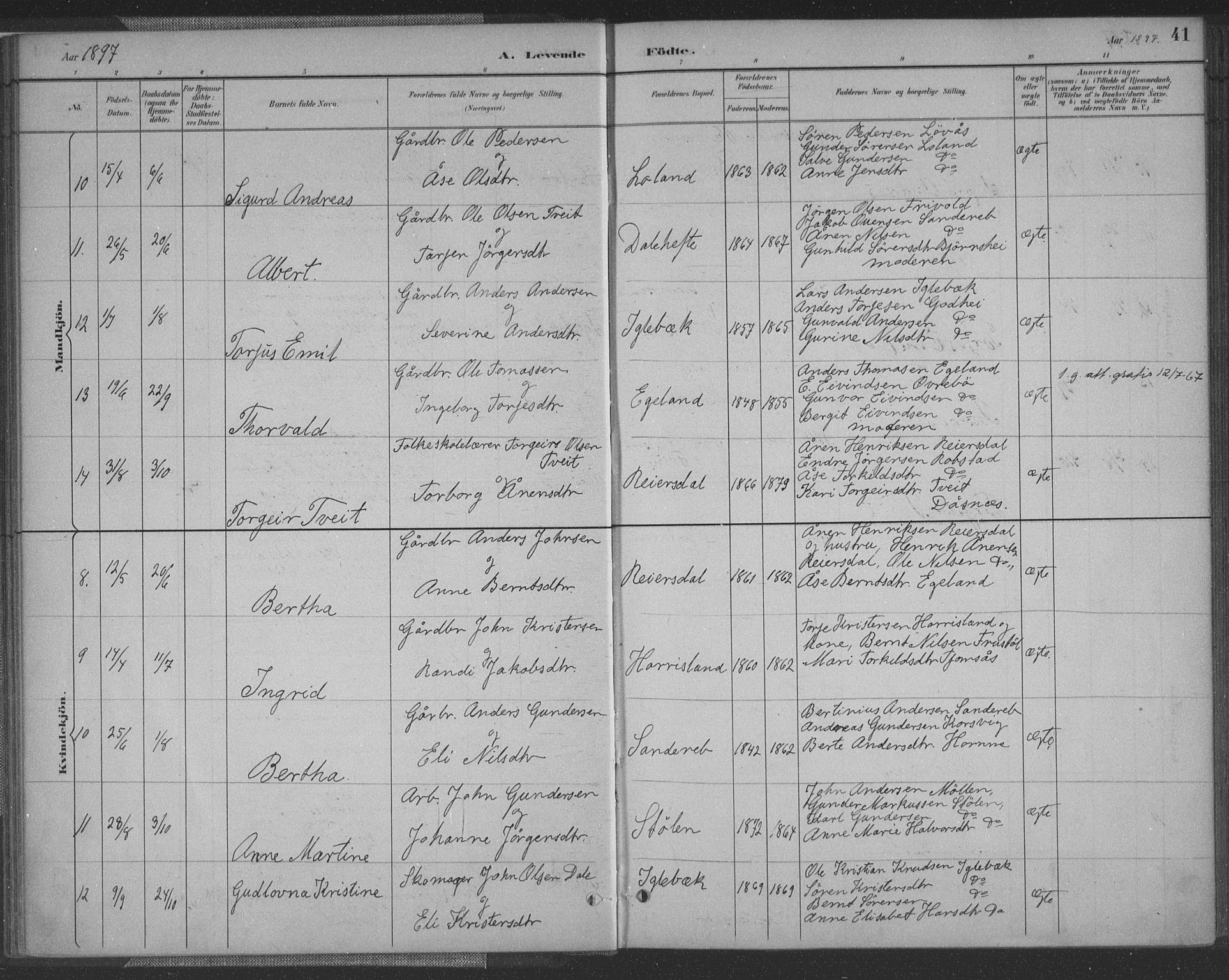 Vennesla sokneprestkontor, AV/SAK-1111-0045/Fa/Fac/L0009: Parish register (official) no. A 9, 1884-1901, p. 41