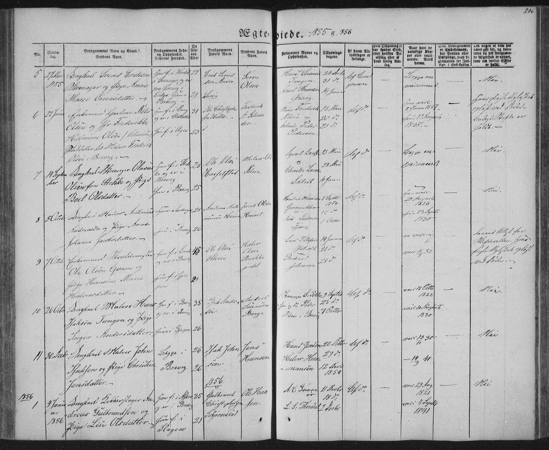 Brevik kirkebøker, SAKO/A-255/F/Fa/L0005: Parish register (official) no. 5, 1847-1865, p. 206