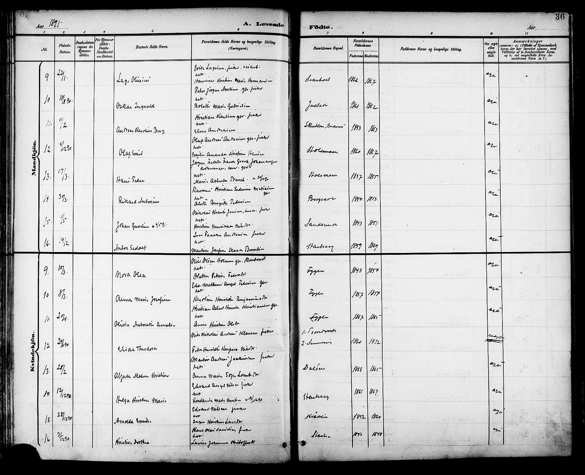 Ministerialprotokoller, klokkerbøker og fødselsregistre - Nordland, SAT/A-1459/882/L1179: Parish register (official) no. 882A01, 1886-1898, p. 36